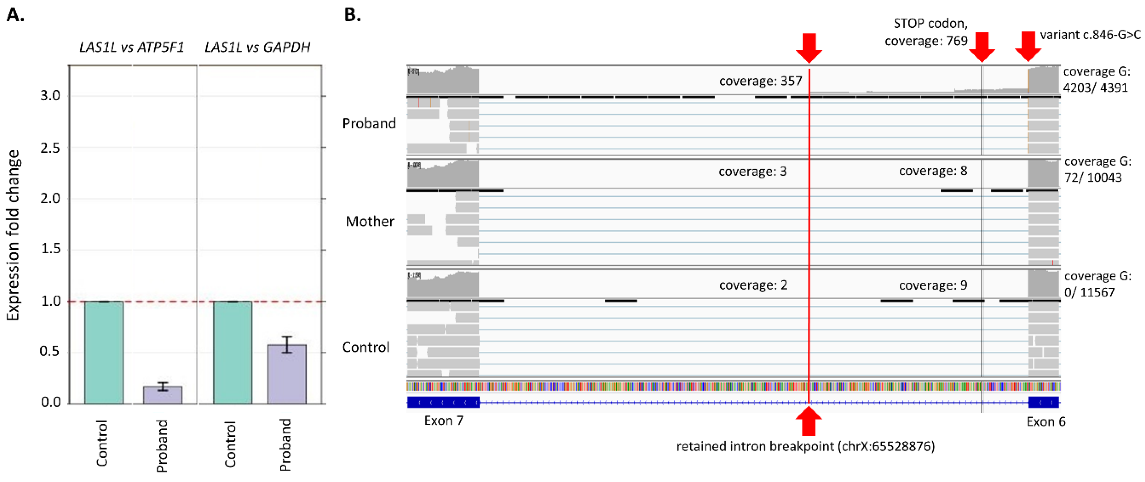 Genes 13 00725 g002 550