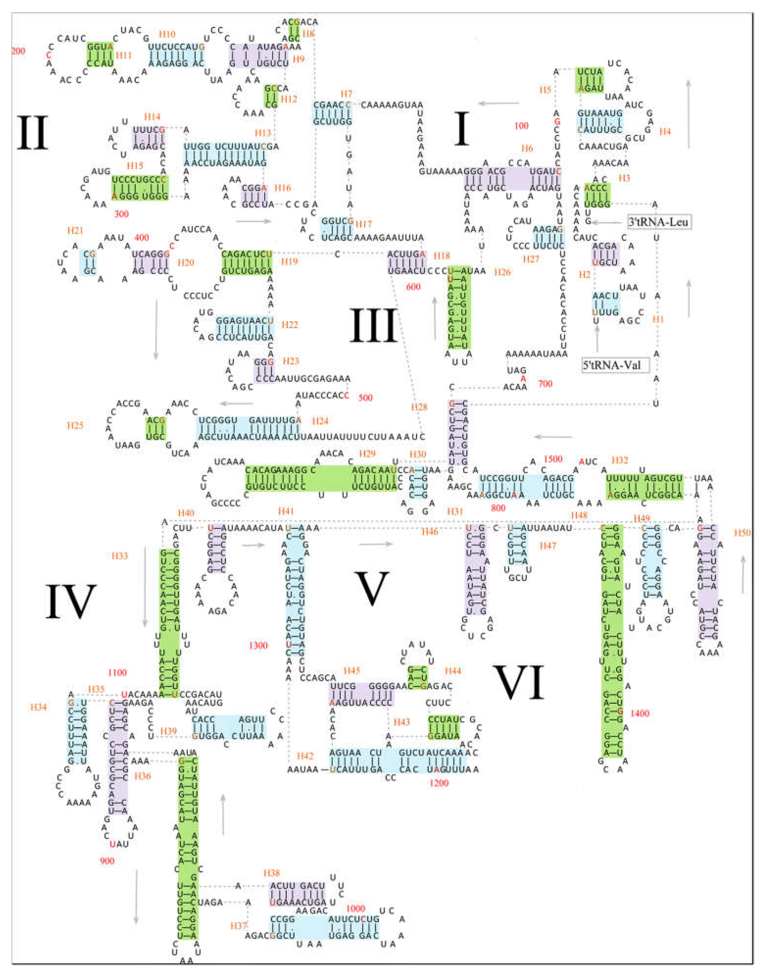 Genes 13 00726 g004 Genes 13 00726 g004