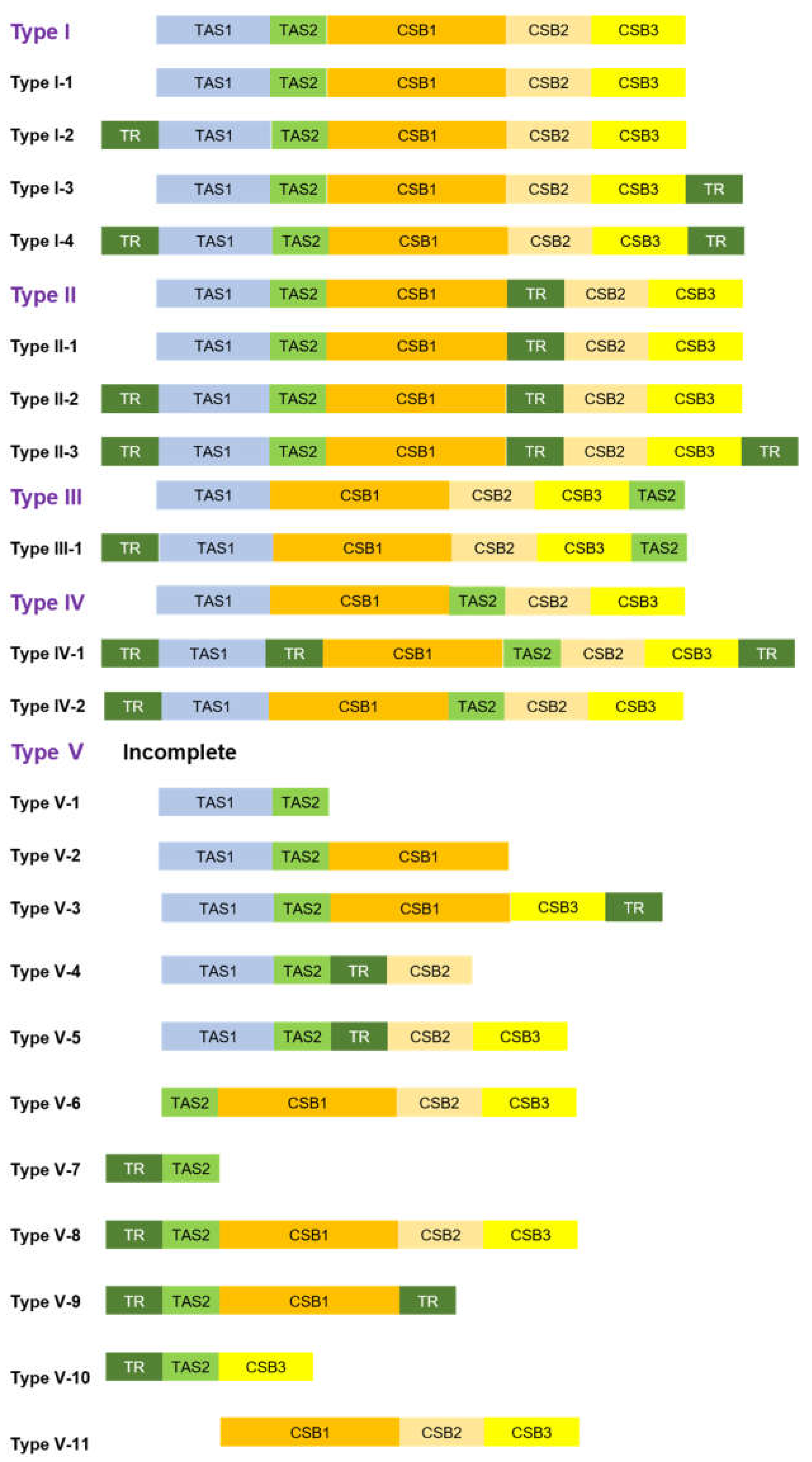 Genes 13 00726 g006 Genes 13 00726 g006