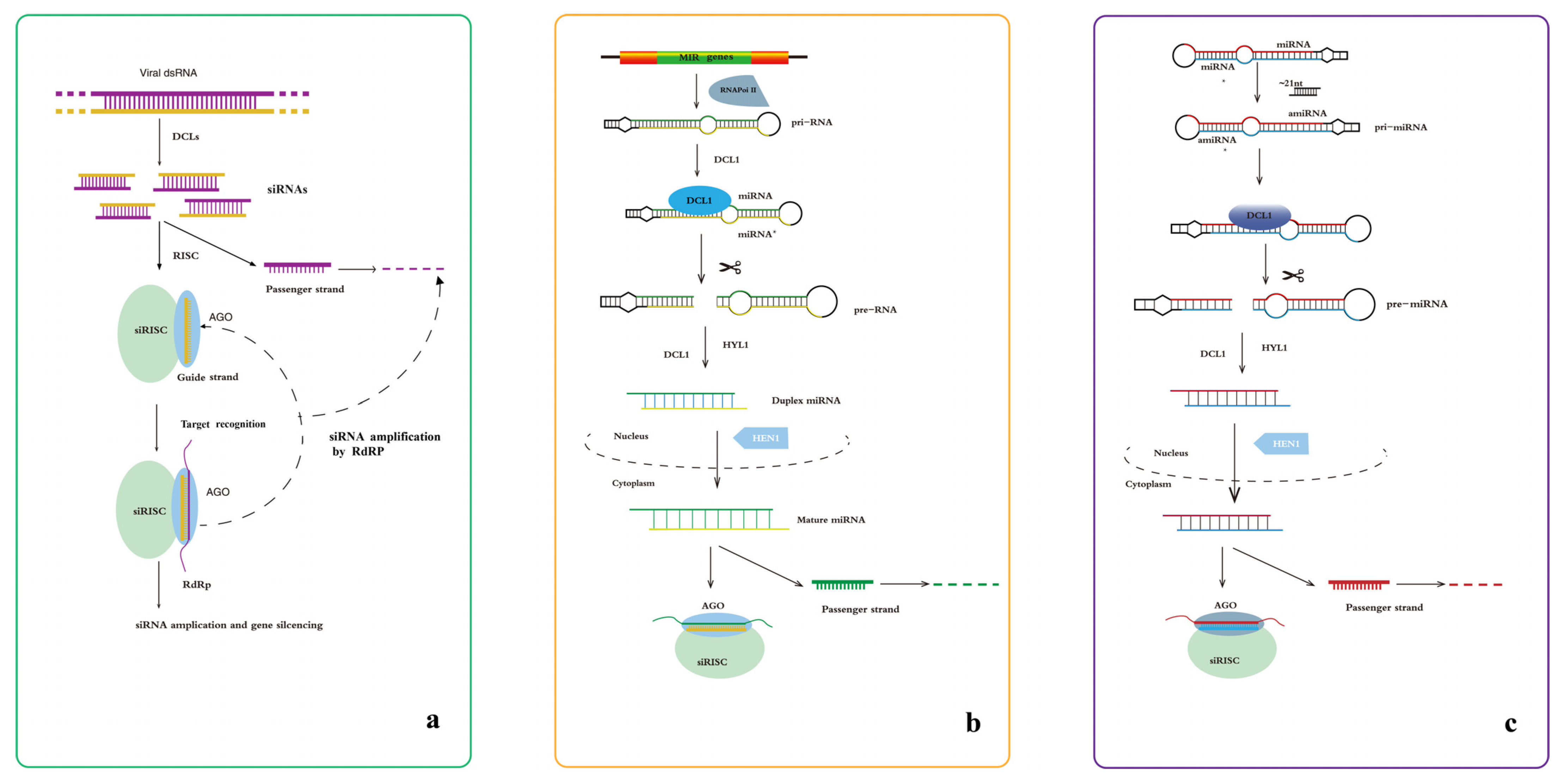 Advances in RNA-Silencing-Related Resistance against Viruses