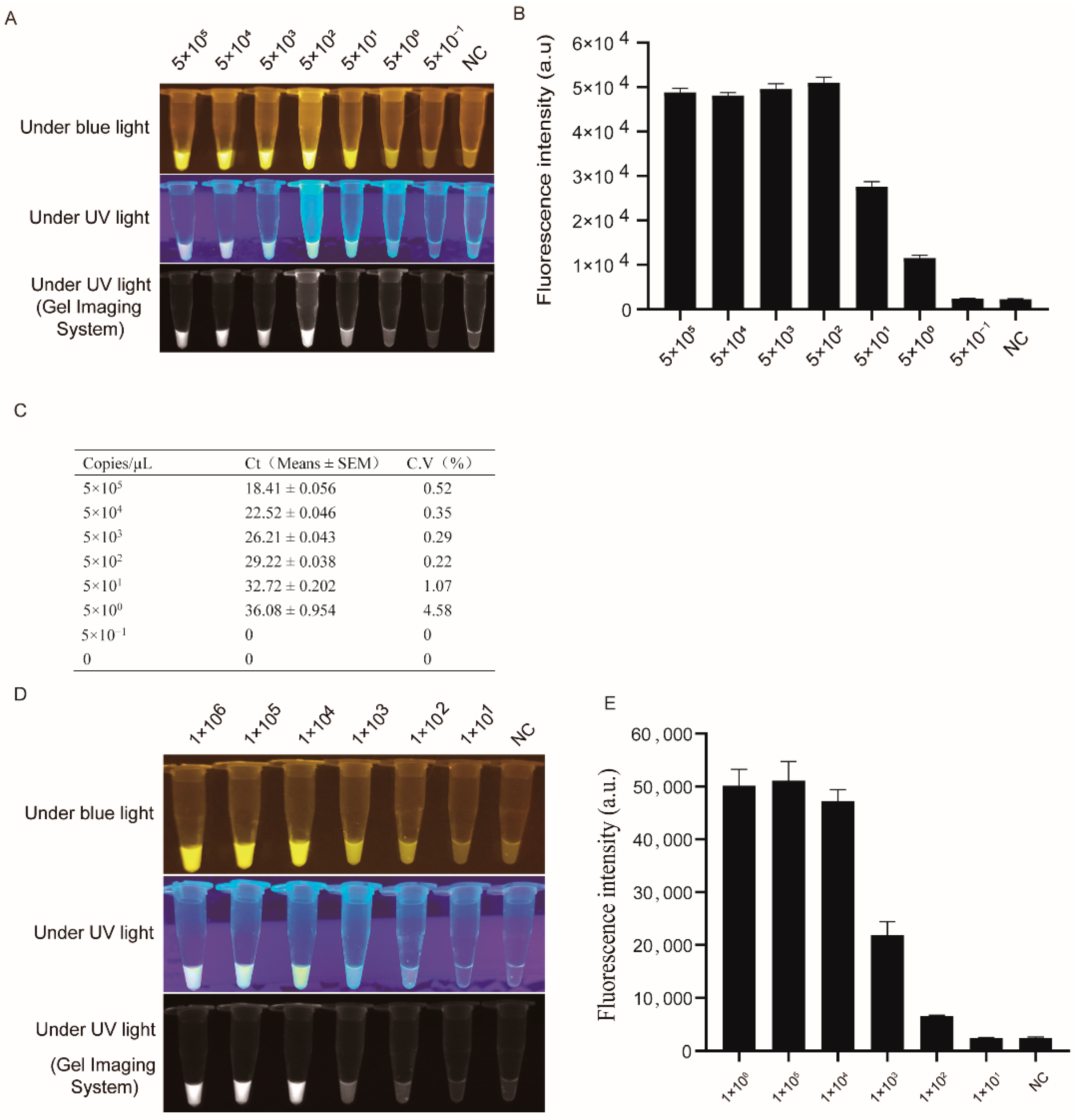 Genes 13 00734 g002 Genes 13 00734 g002
