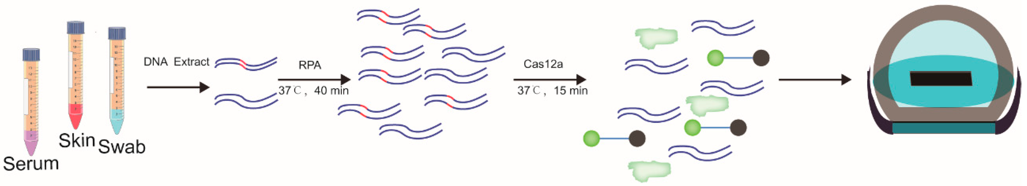 Genes 13 00734 g004 Genes 13 00734 g004