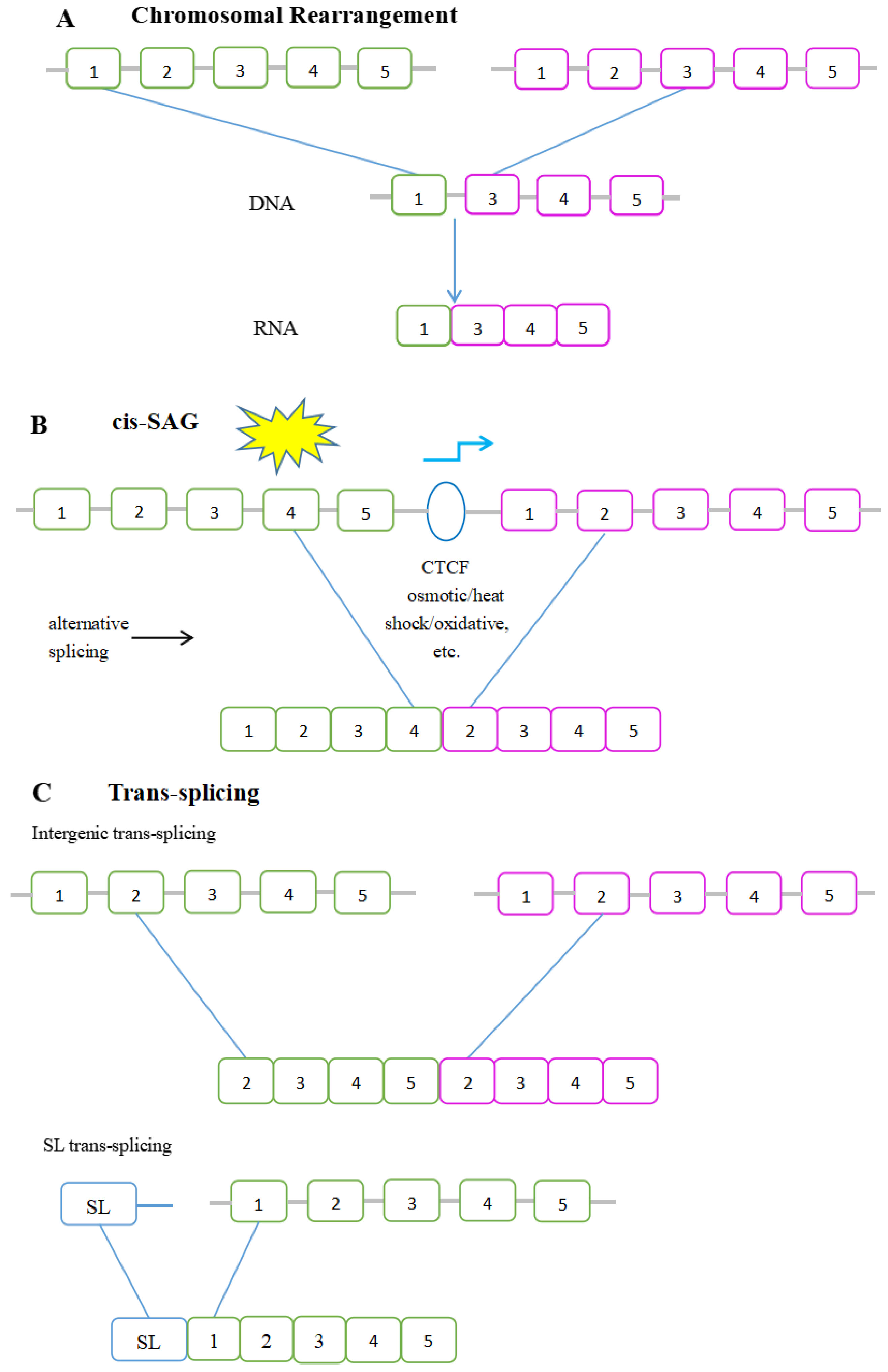 Genes 13 00741 g001 Genes 13 00741 g001