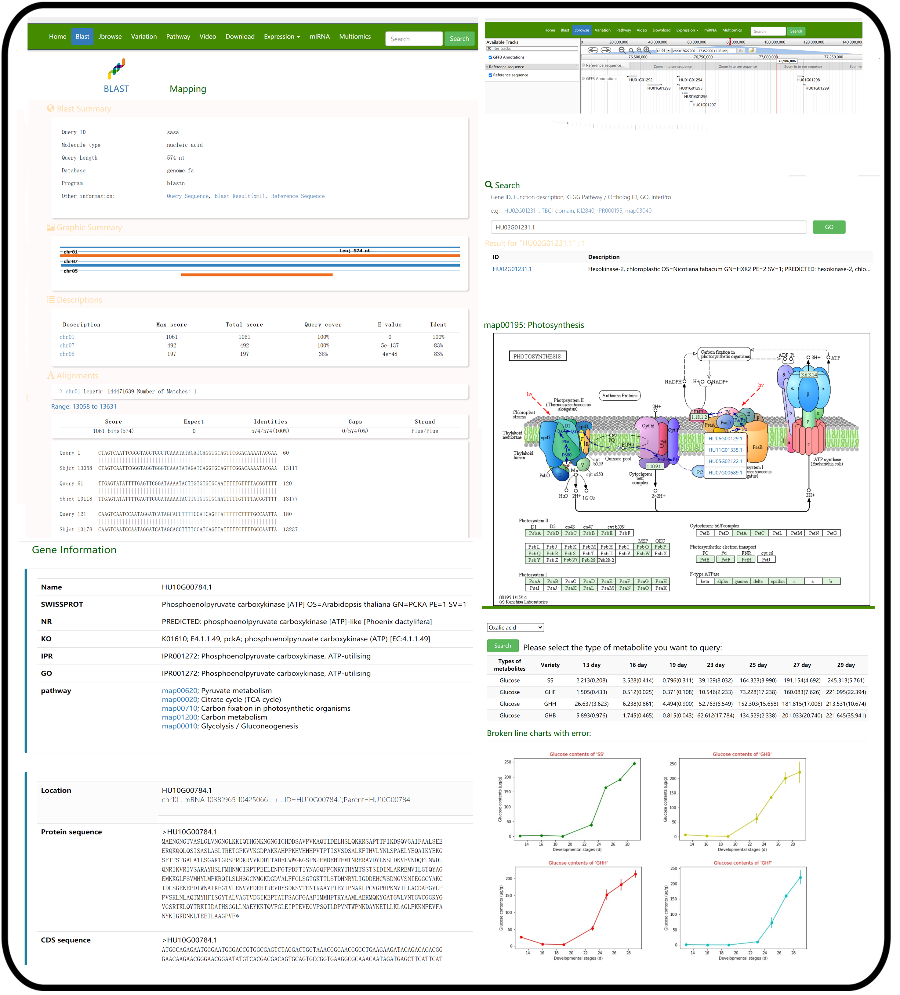 Genes 13 00745 g003 550