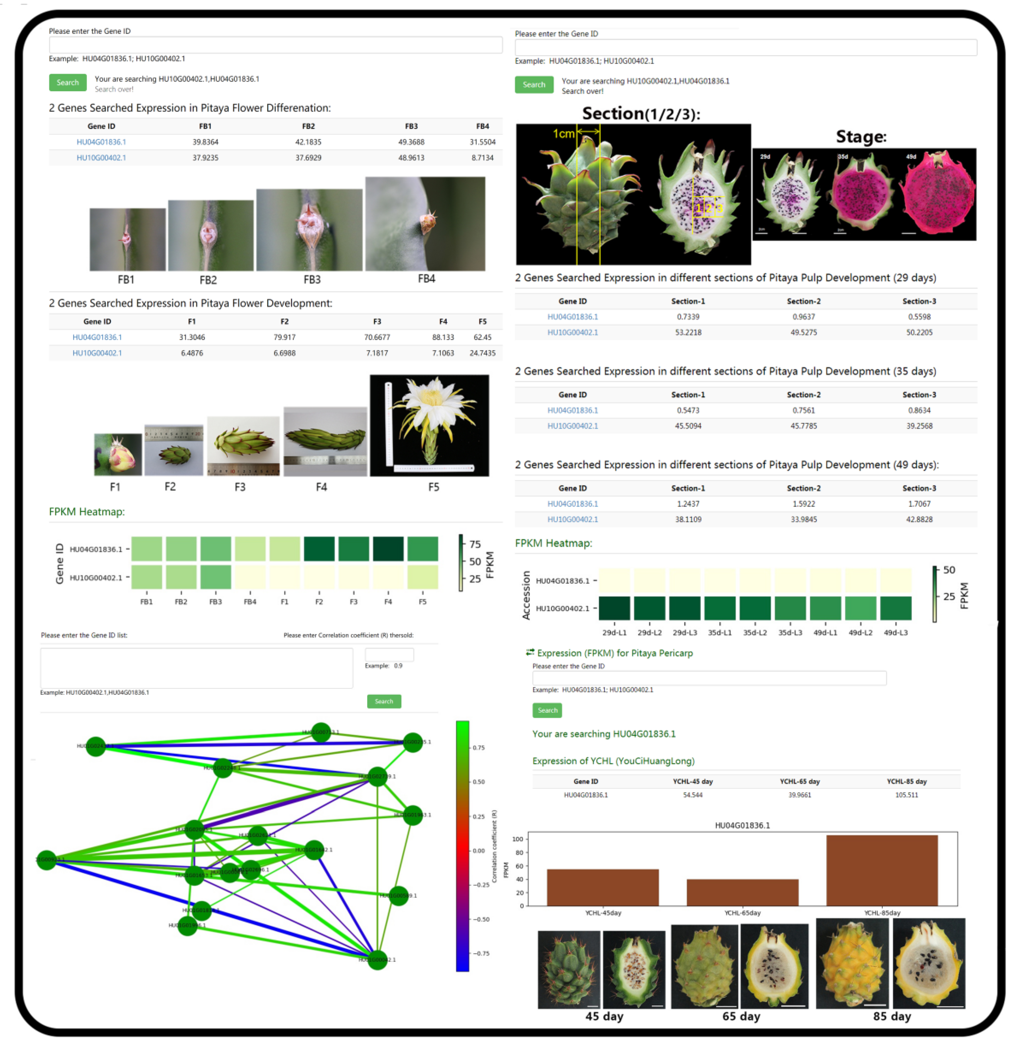 Genes 13 00745 g005 550