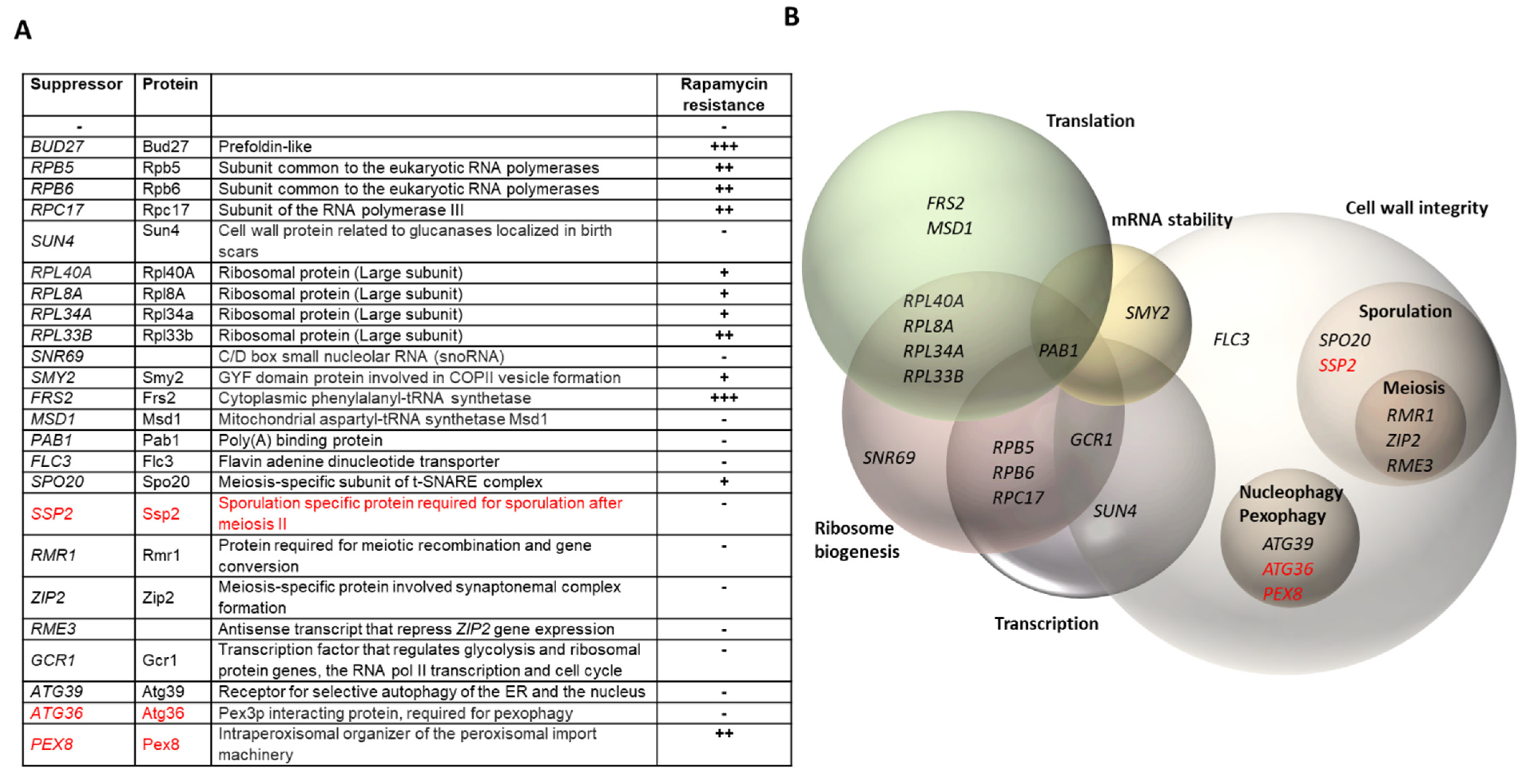 Genes 13 00748 g001