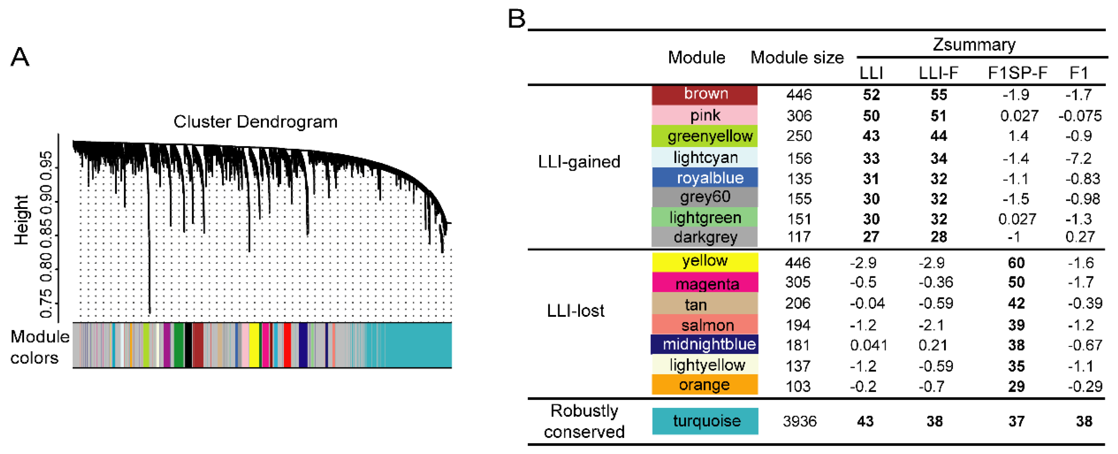Genes 13 00749 g002 550