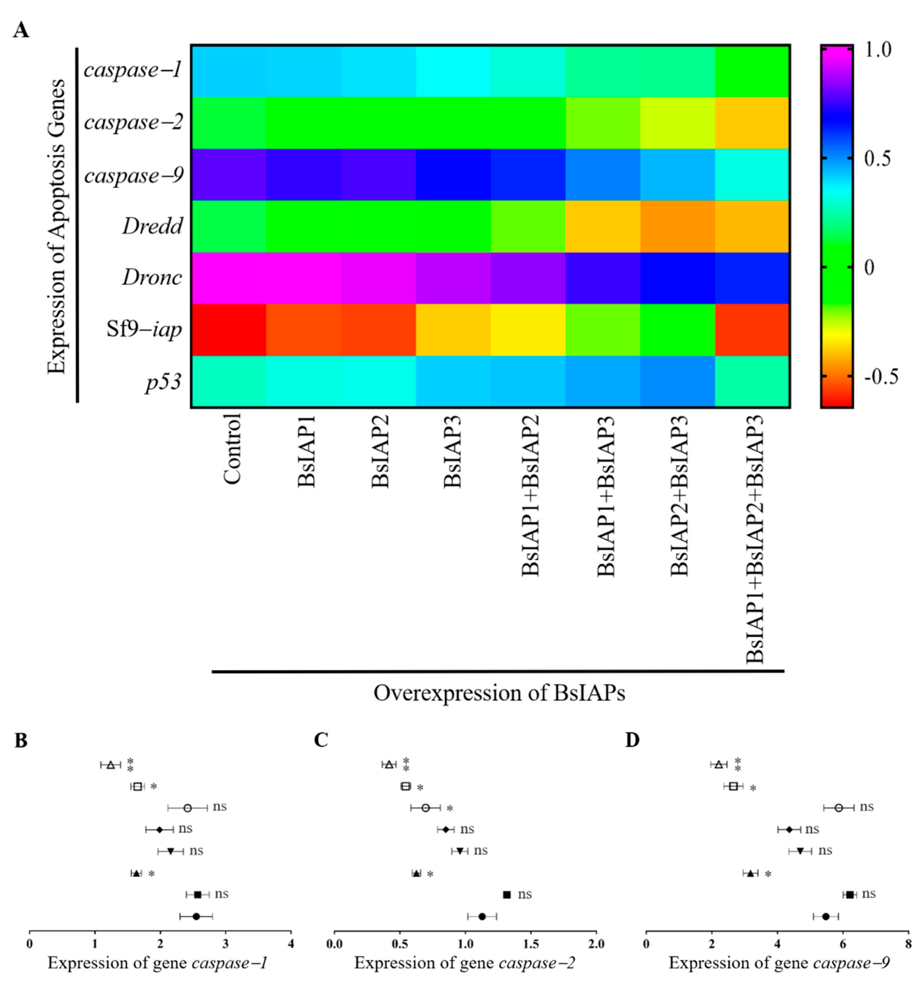 Genes 13 00750 g005a Genes 13 00750 g005a