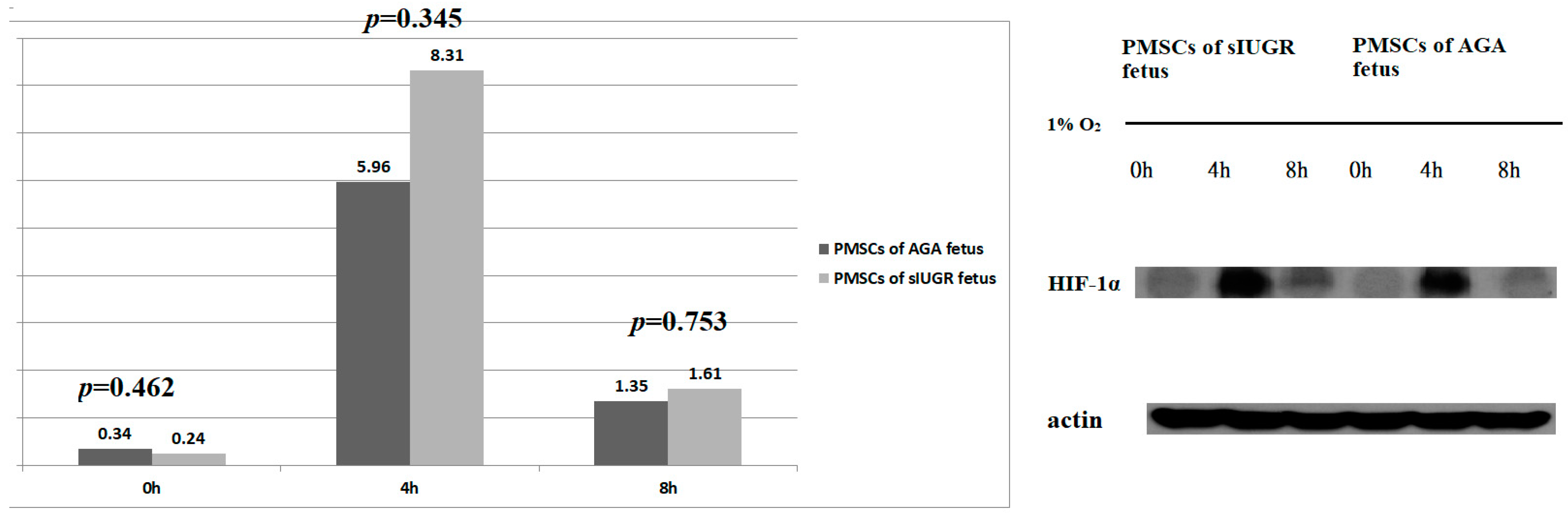 Genes 13 00752 g001 550