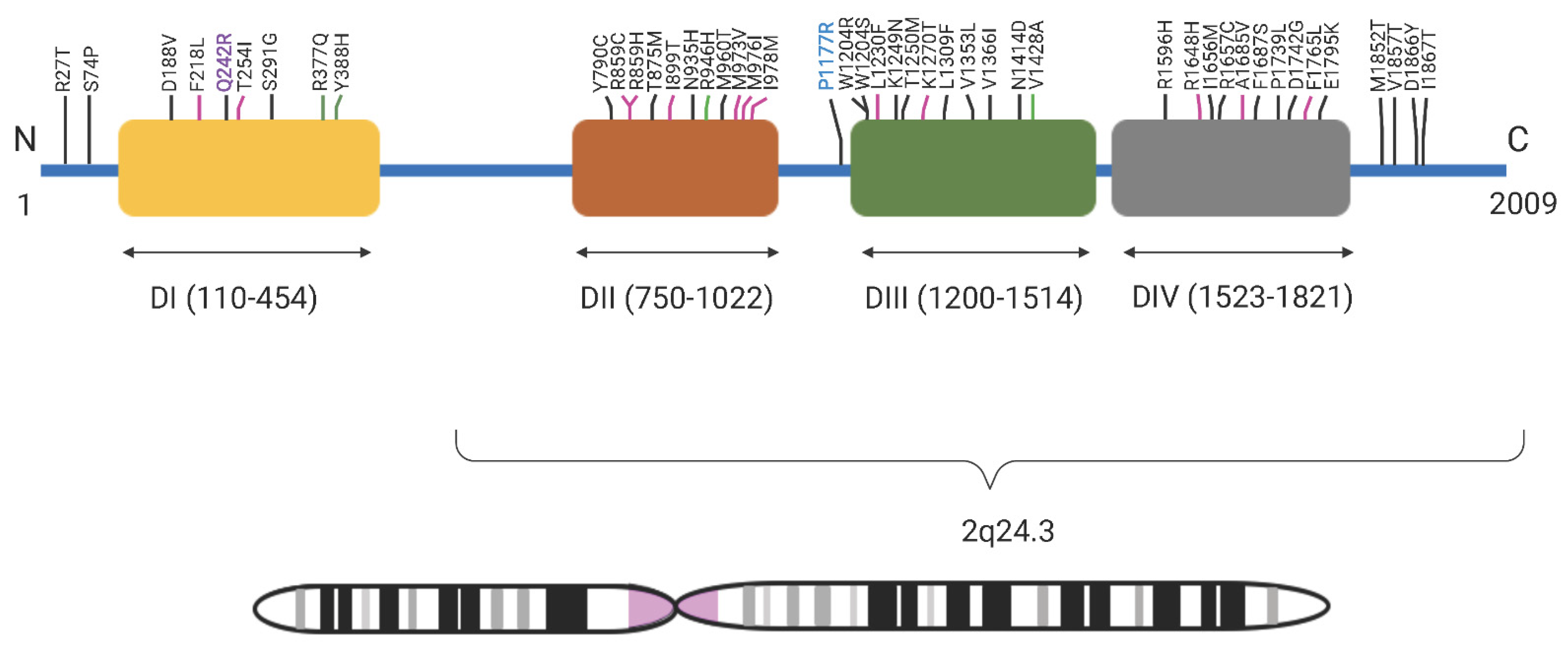Genes 13 00754 g003 Genes 13 00754 g003