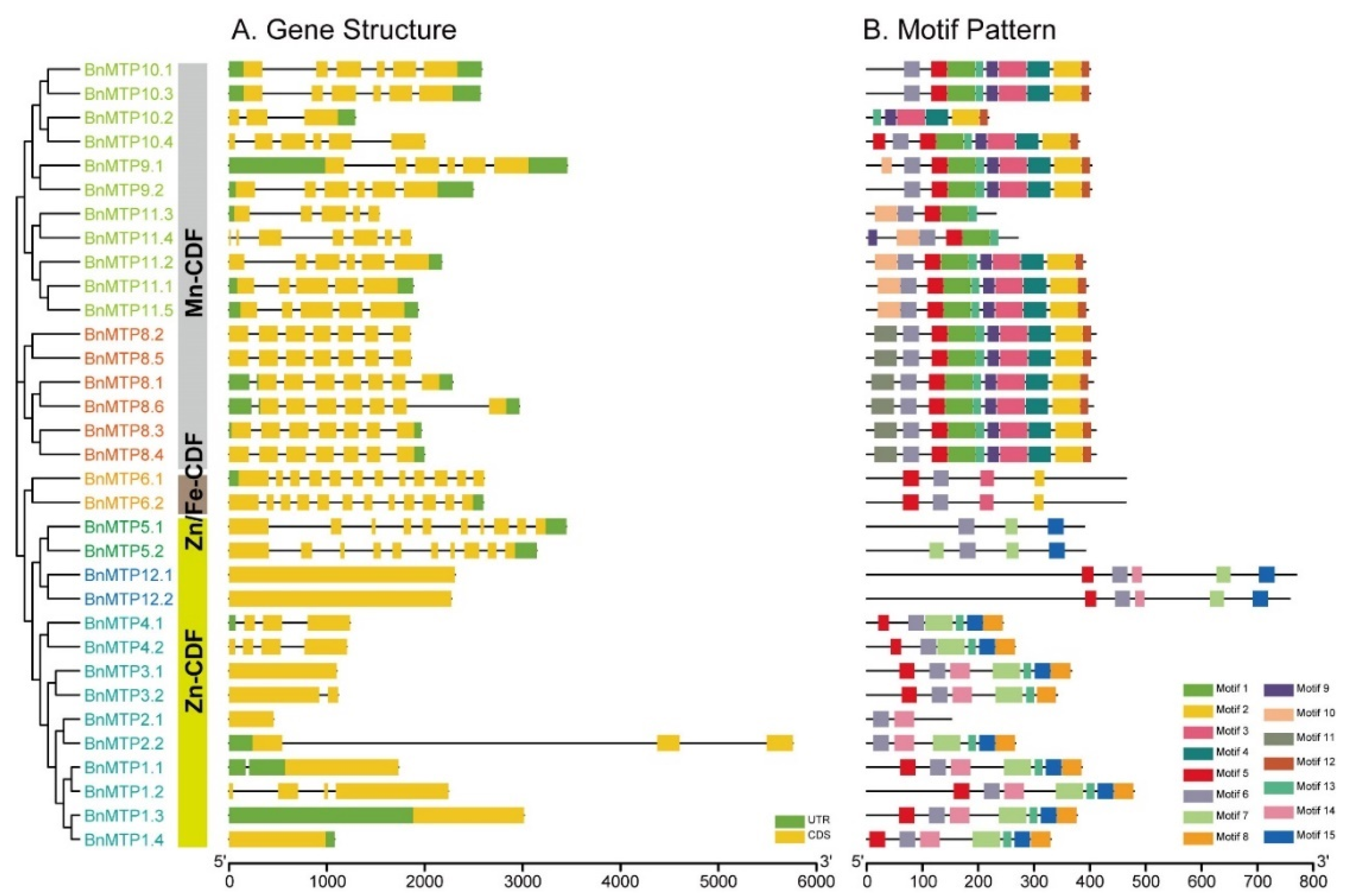 Genes 13 00761 g002 550