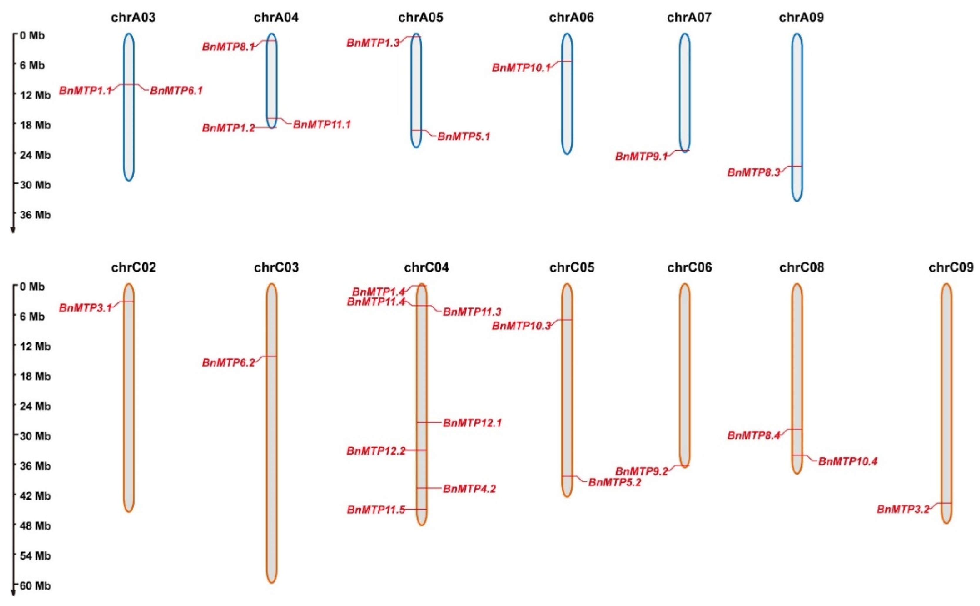 Genes 13 00761 g003 550