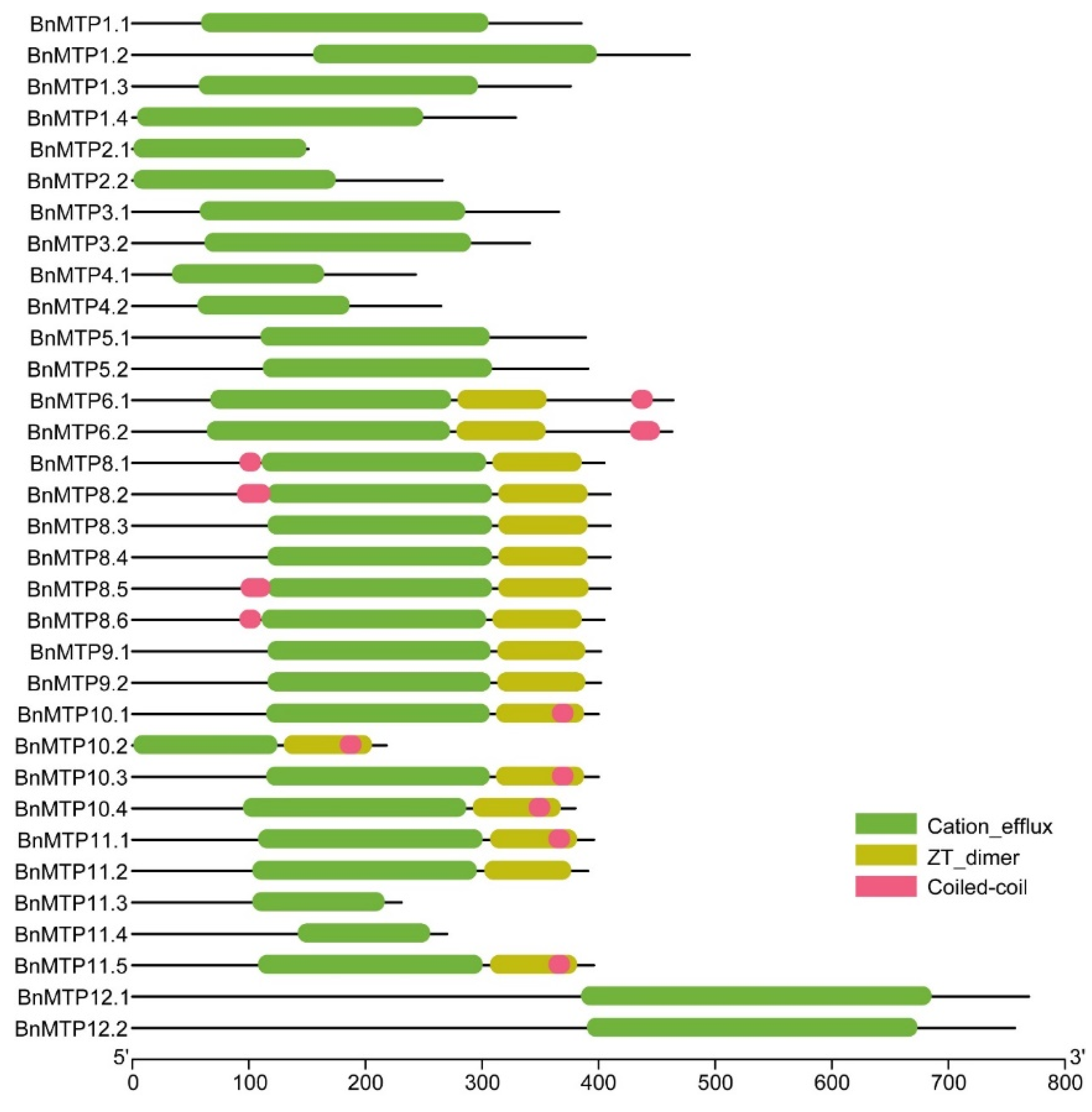 Genes 13 00761 g004 550