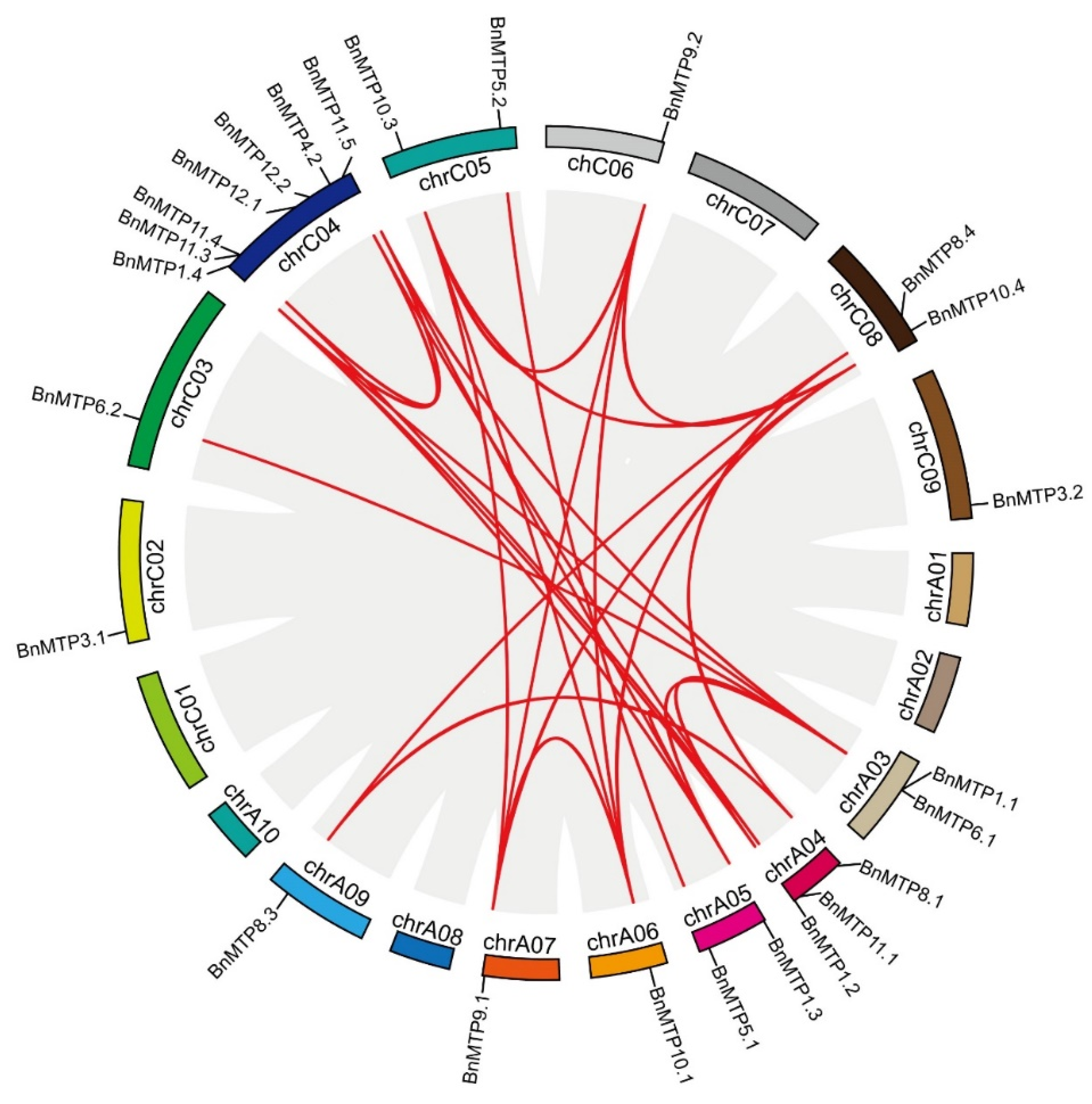 Genes 13 00761 g005 550
