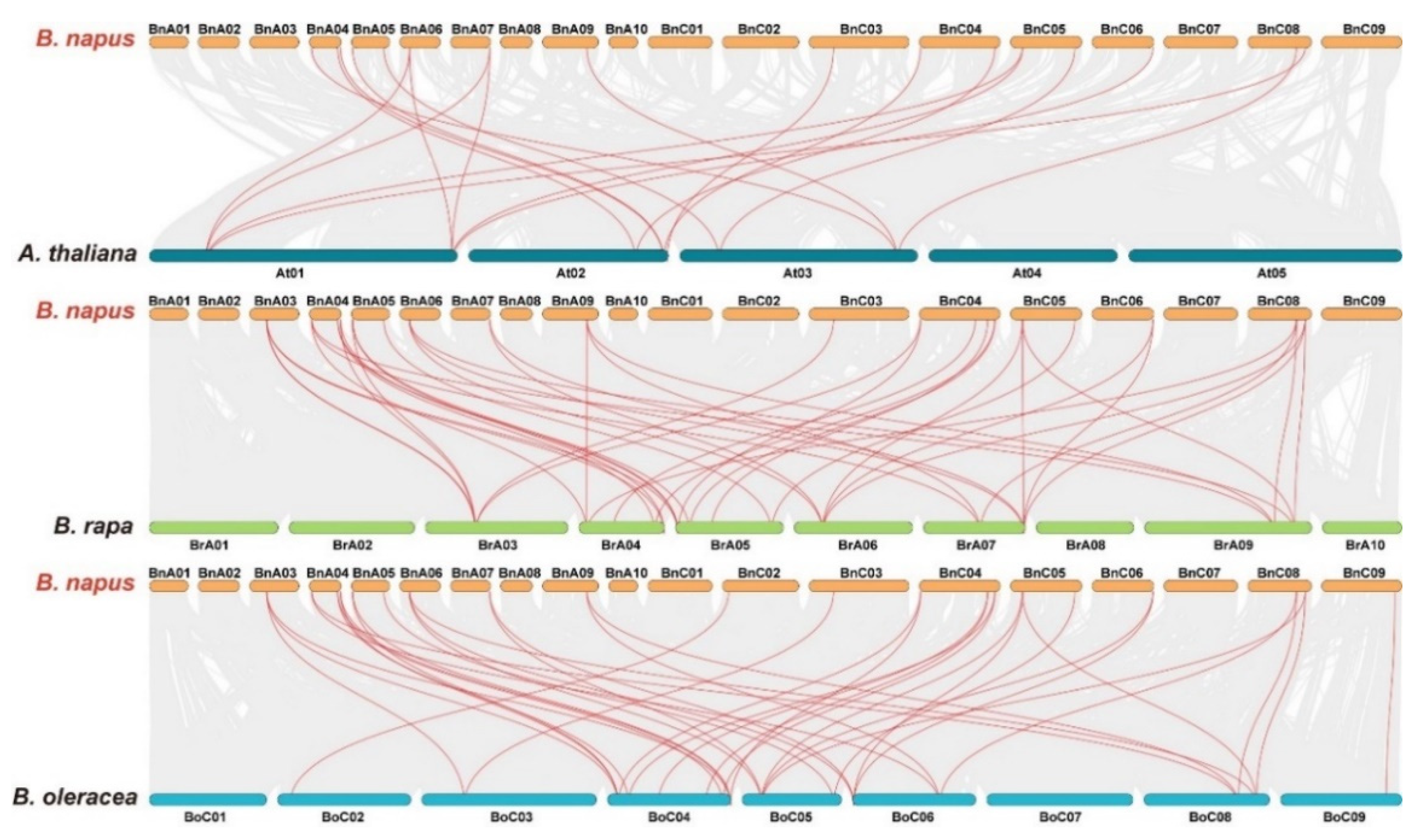 Genes 13 00761 g006 550