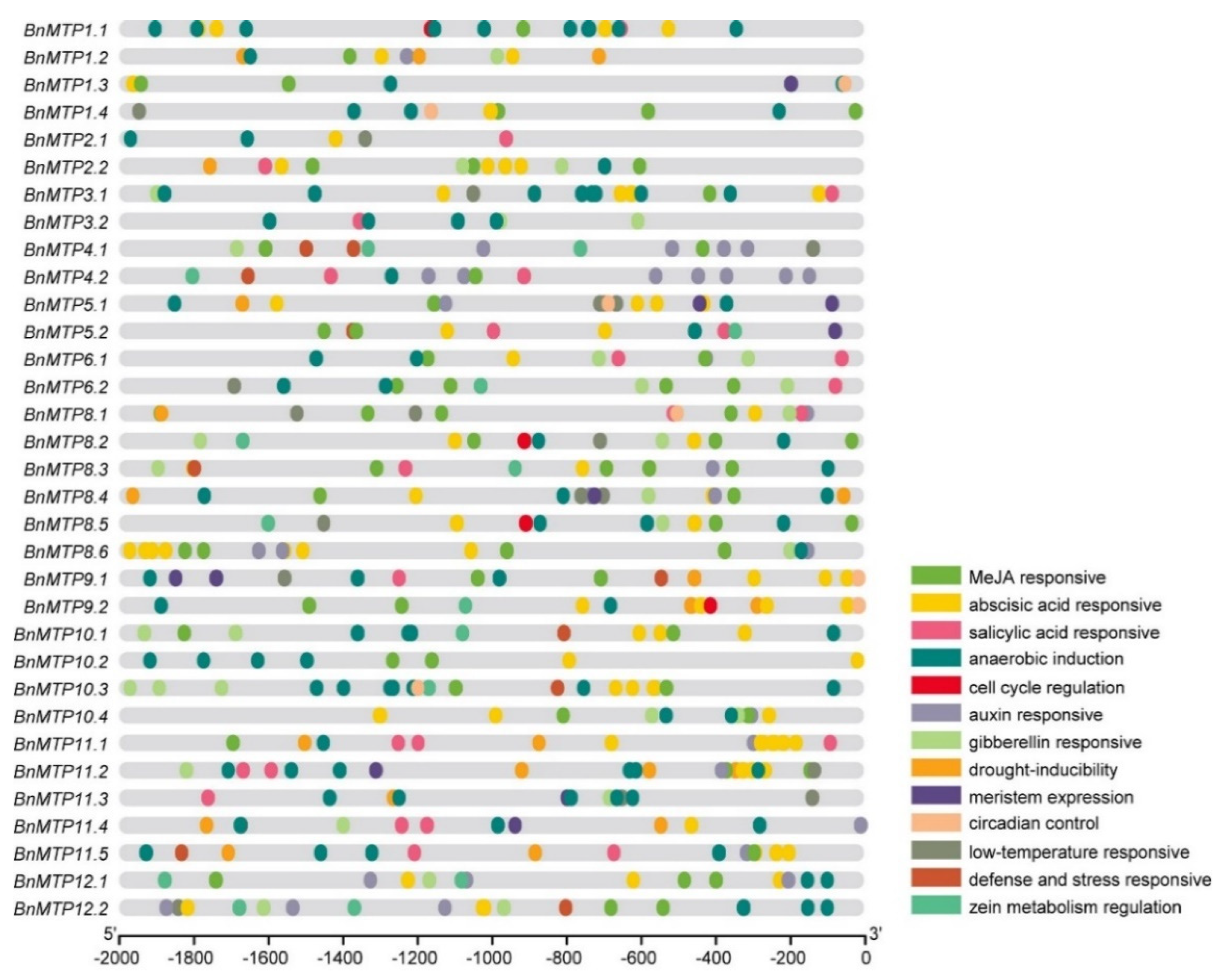 Genes 13 00761 g008 550