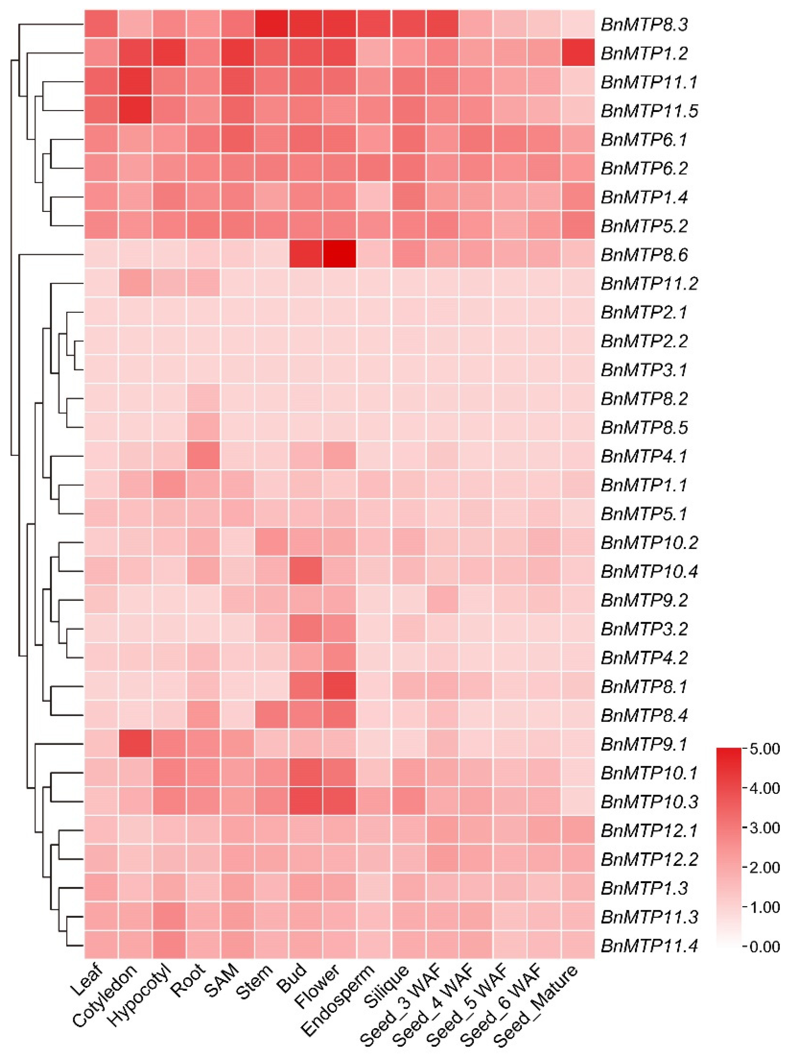 Genes 13 00761 g009 550