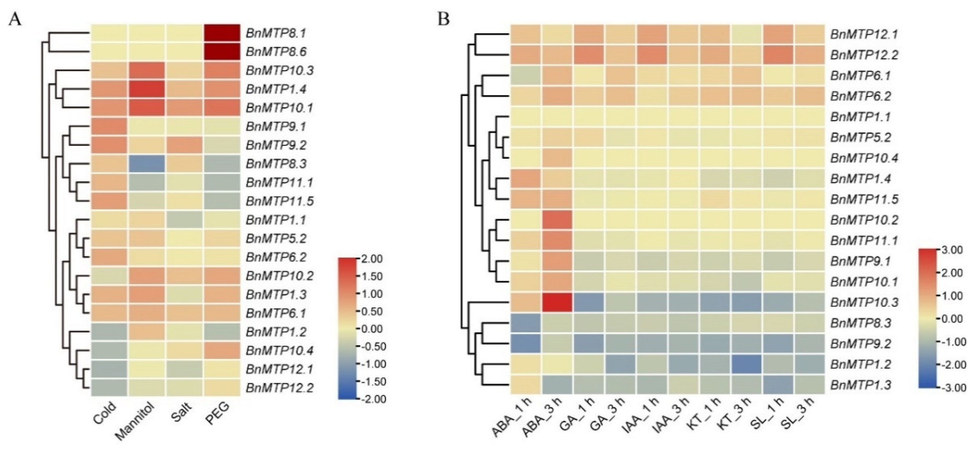 Genes 13 00761 g010 550