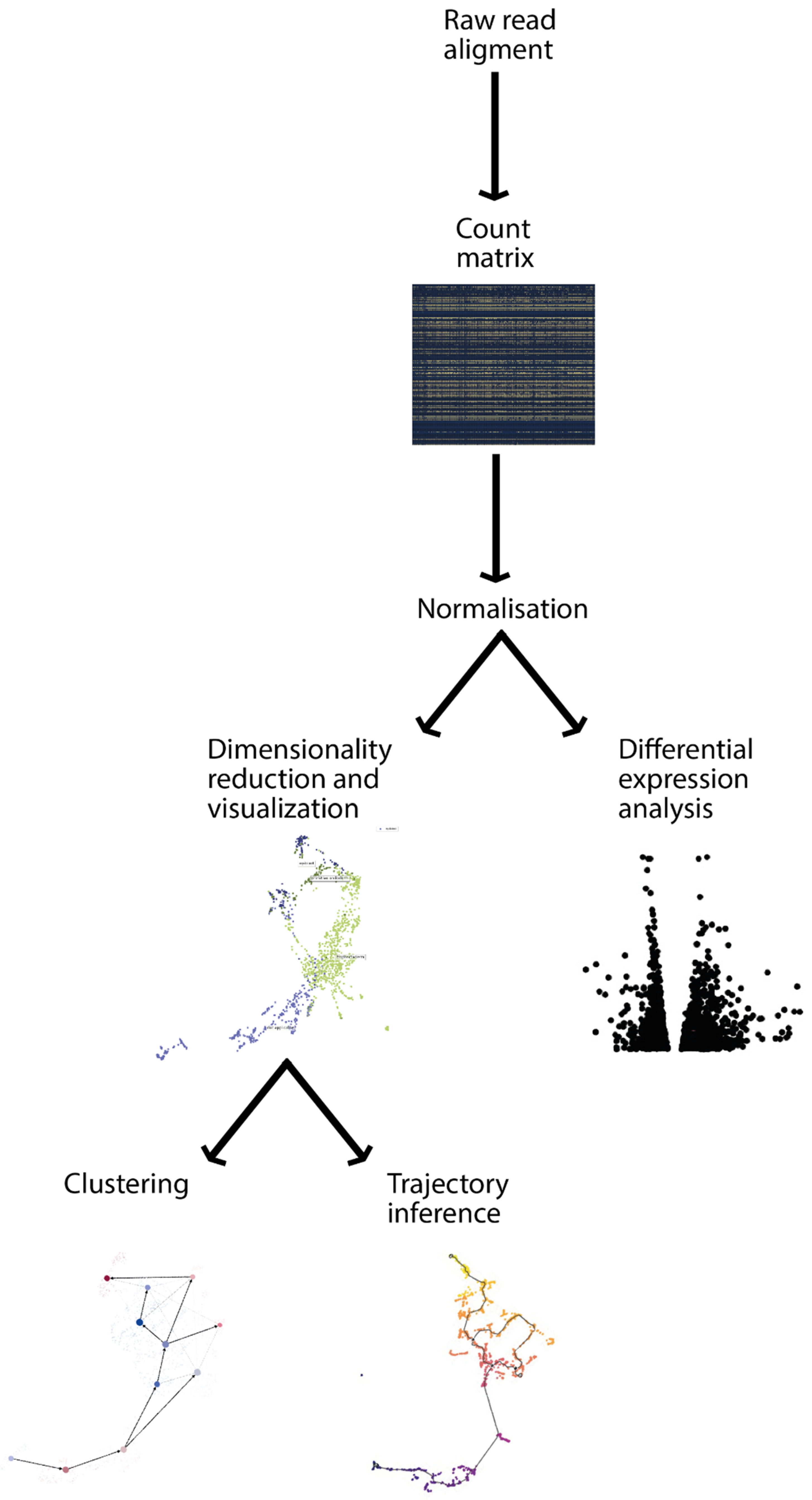 Genes 13 00764 g002 Genes 13 00764 g002