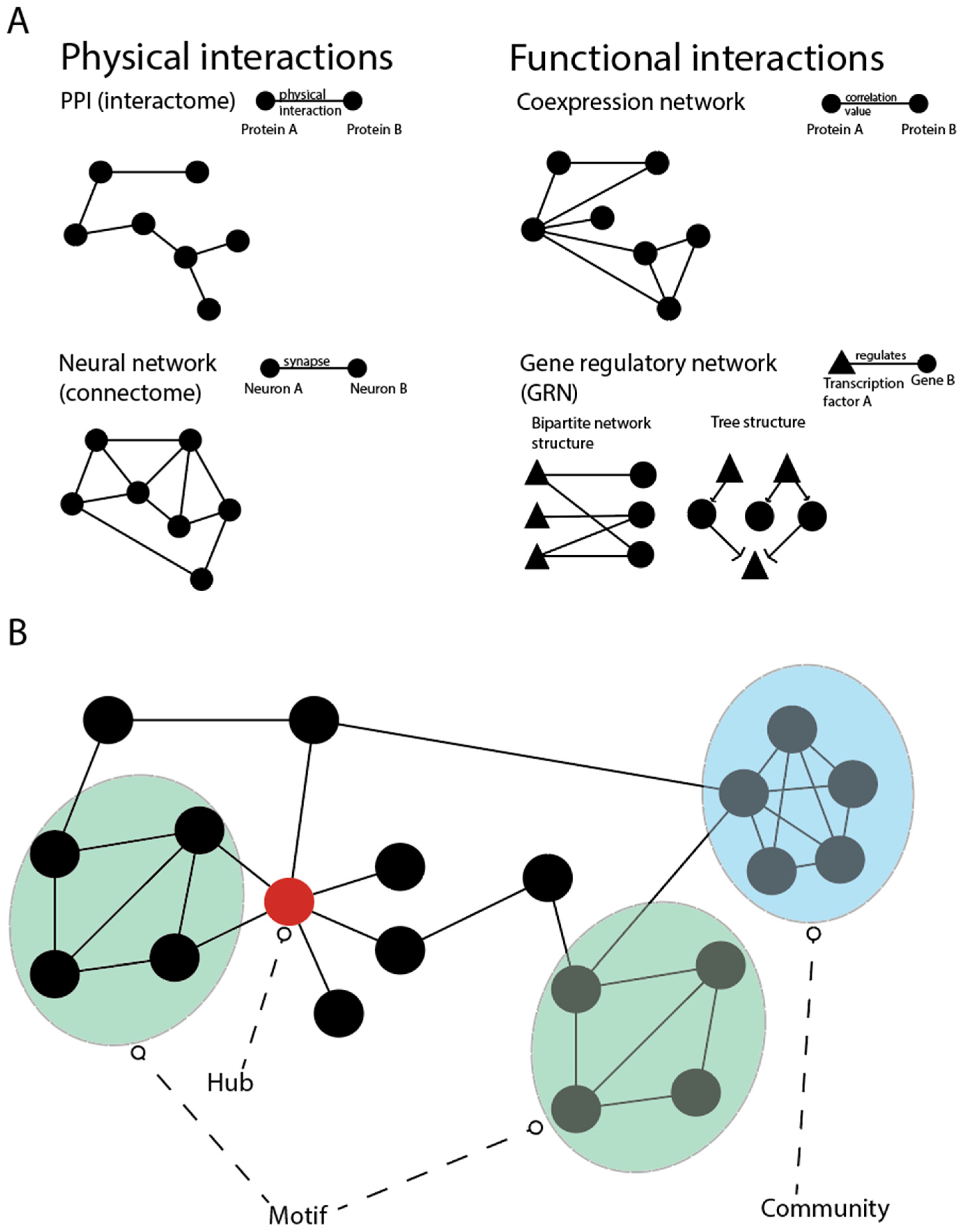 Genes 13 00764 g004 Genes 13 00764 g004