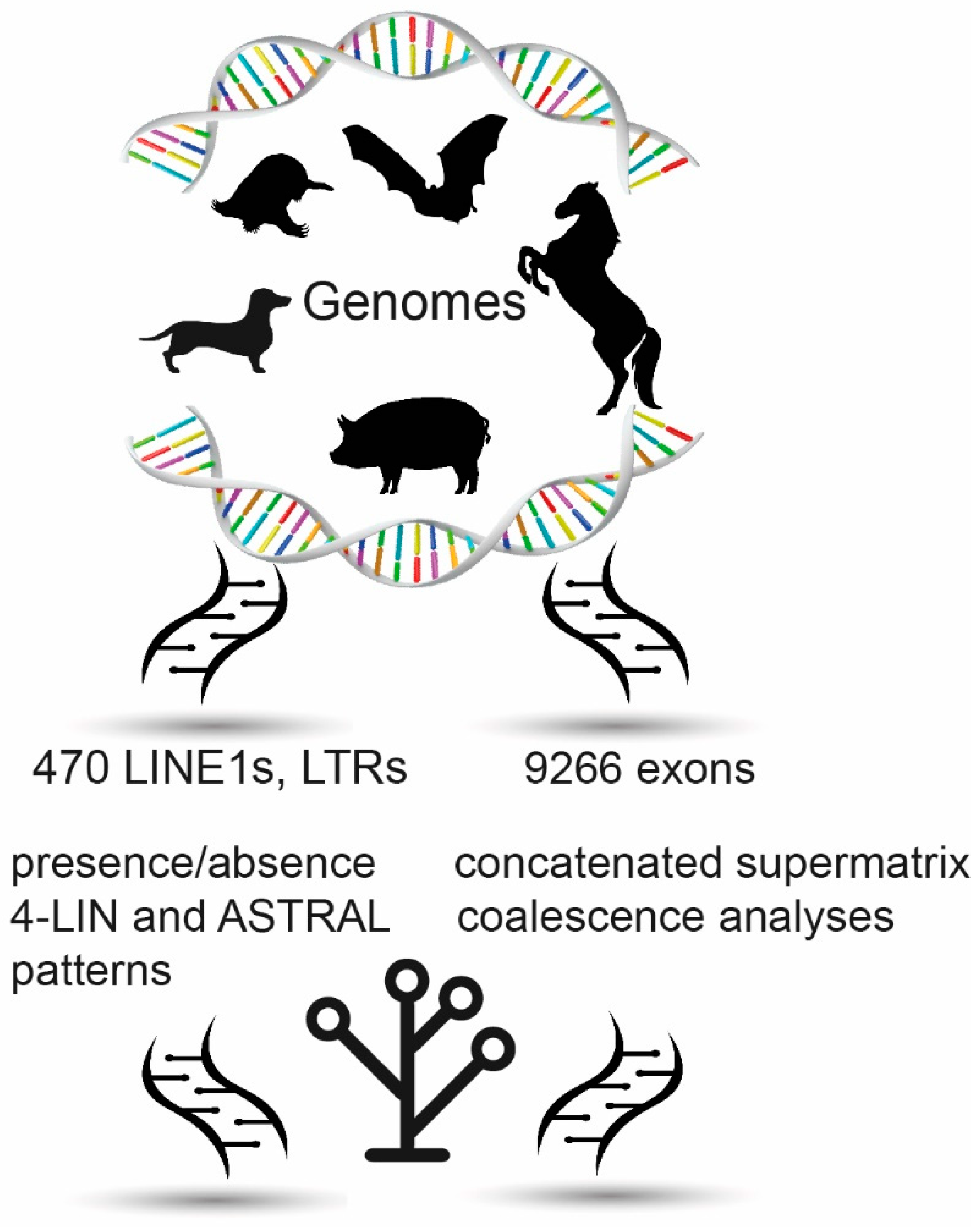 Genes 13 00766 g001
