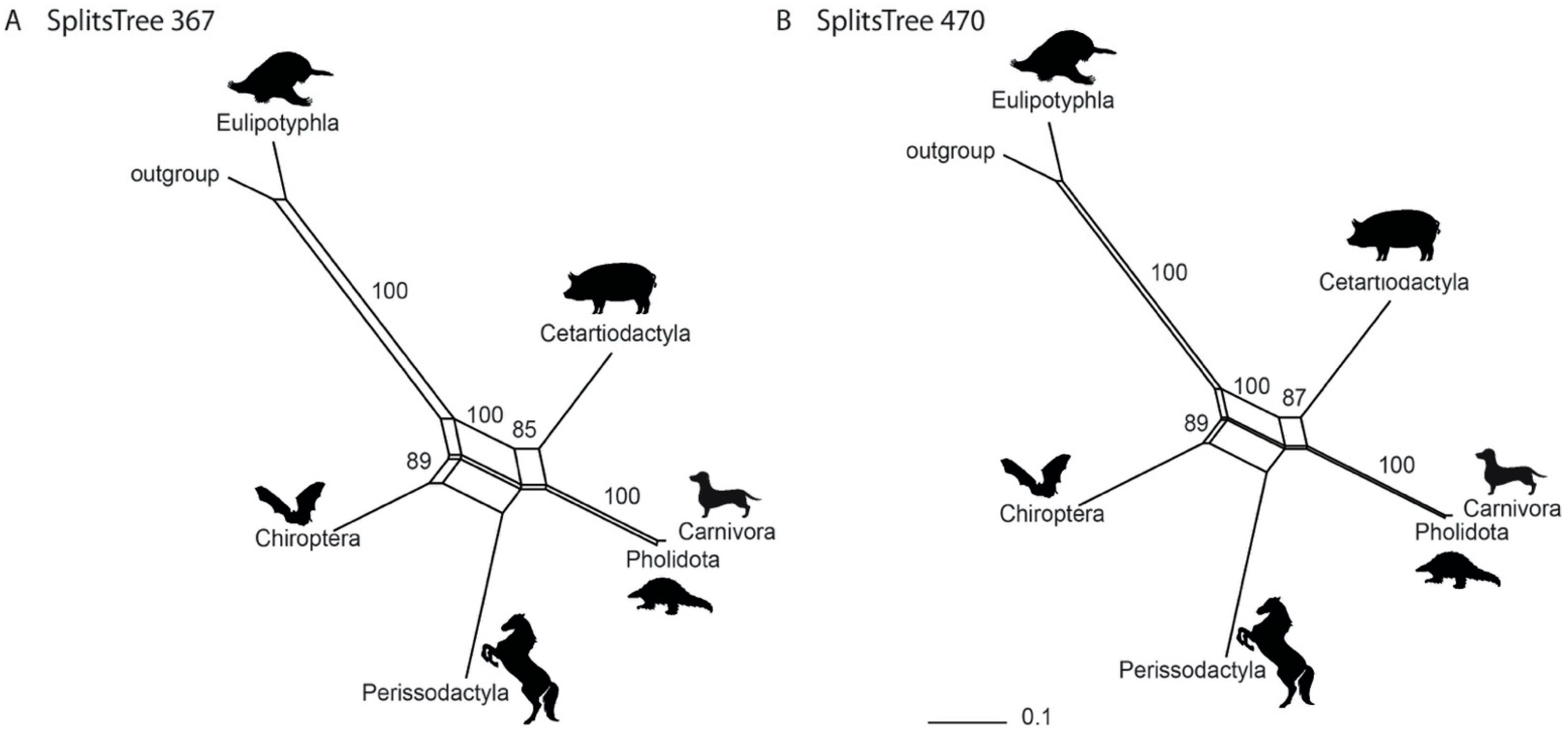 Genes 13 00766 g003