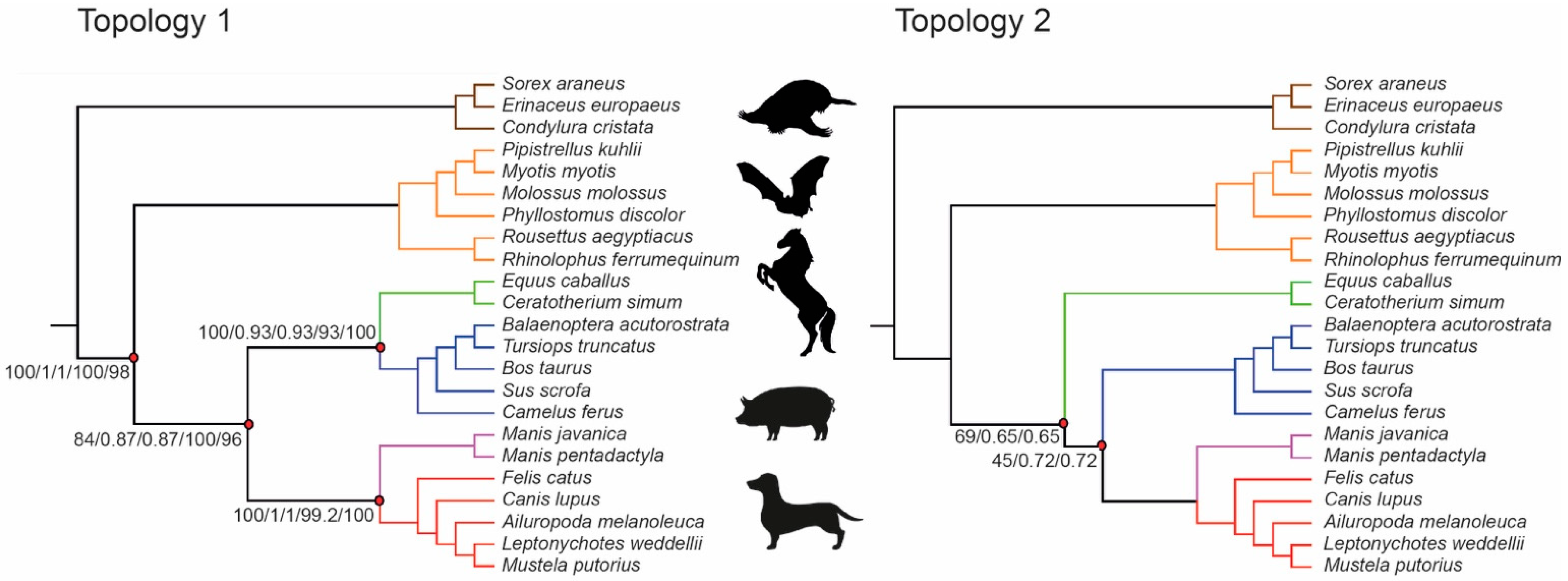 Genes 13 00766 g005