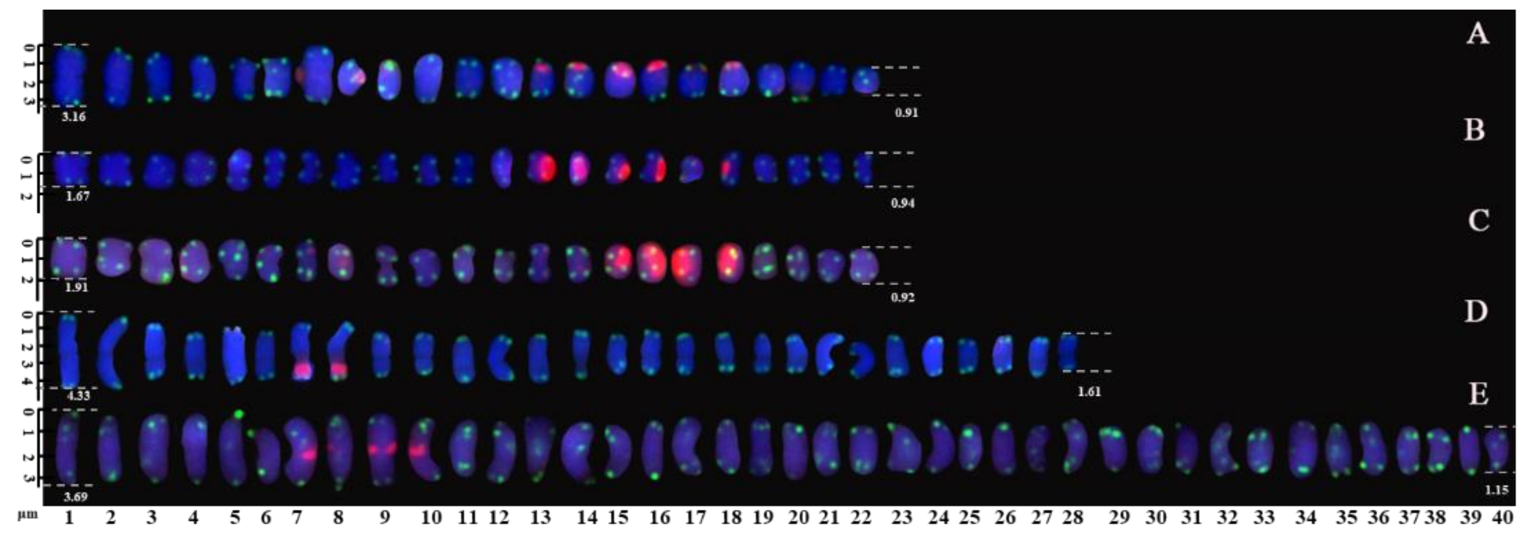 Genes 13 00768 g002 550