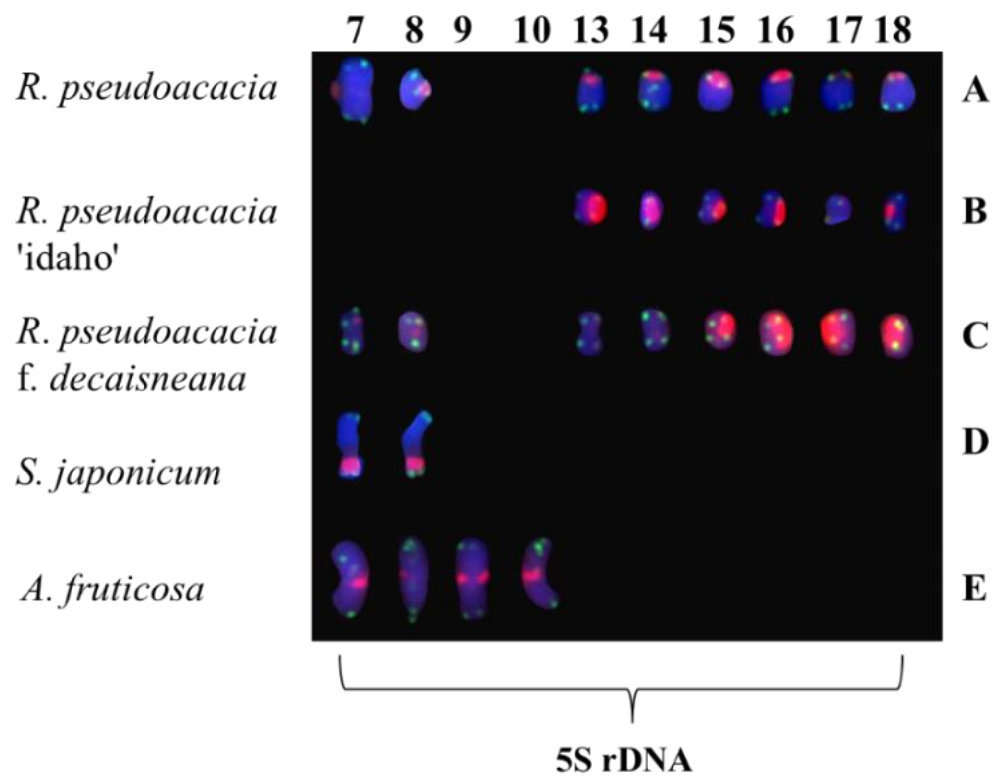 Genes 13 00768 g004 550