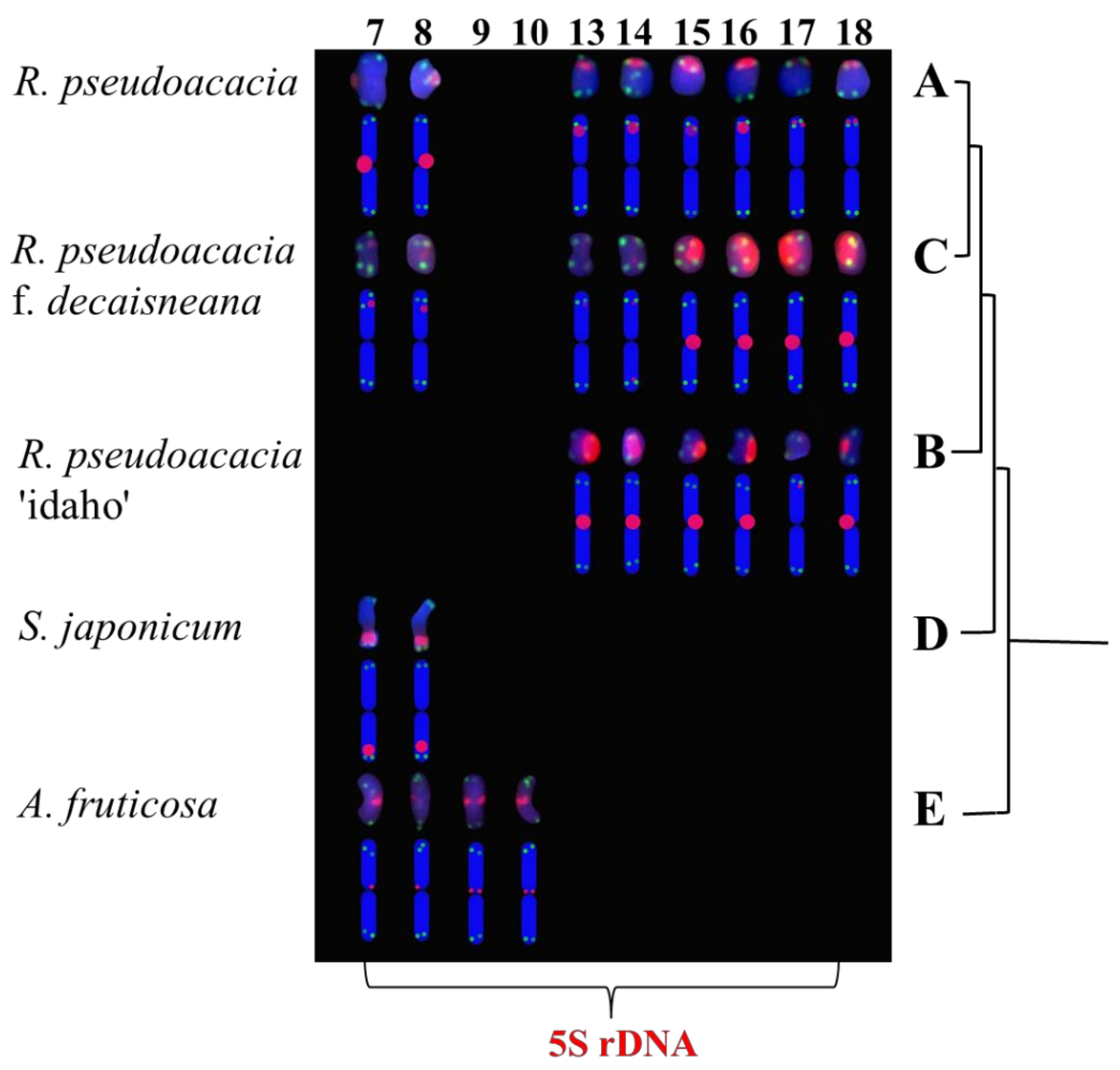 Genes 13 00768 g005 550