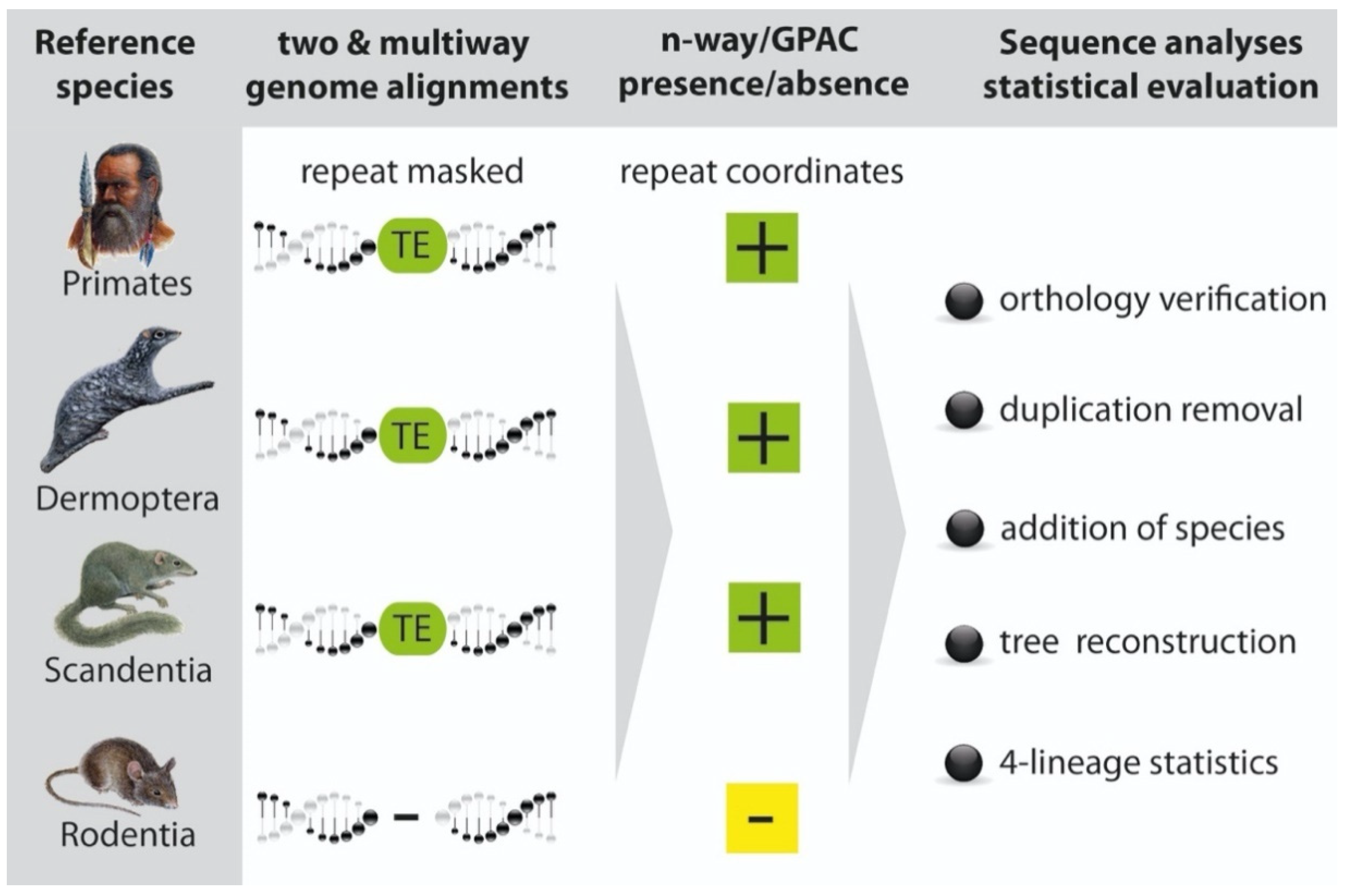 Genes 13 00774 g001 Genes 13 00774 g001