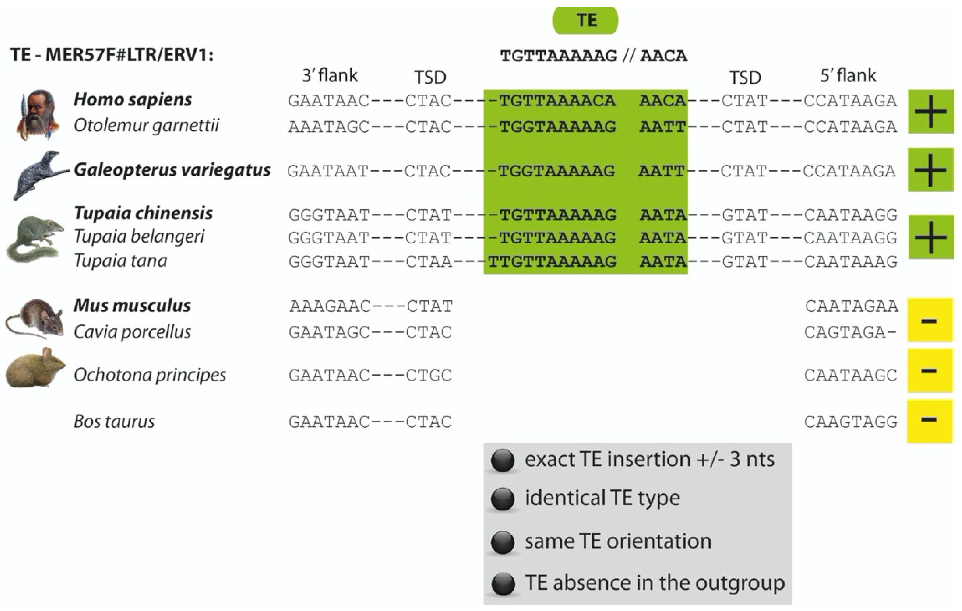 Genes 13 00774 g002 Genes 13 00774 g002
