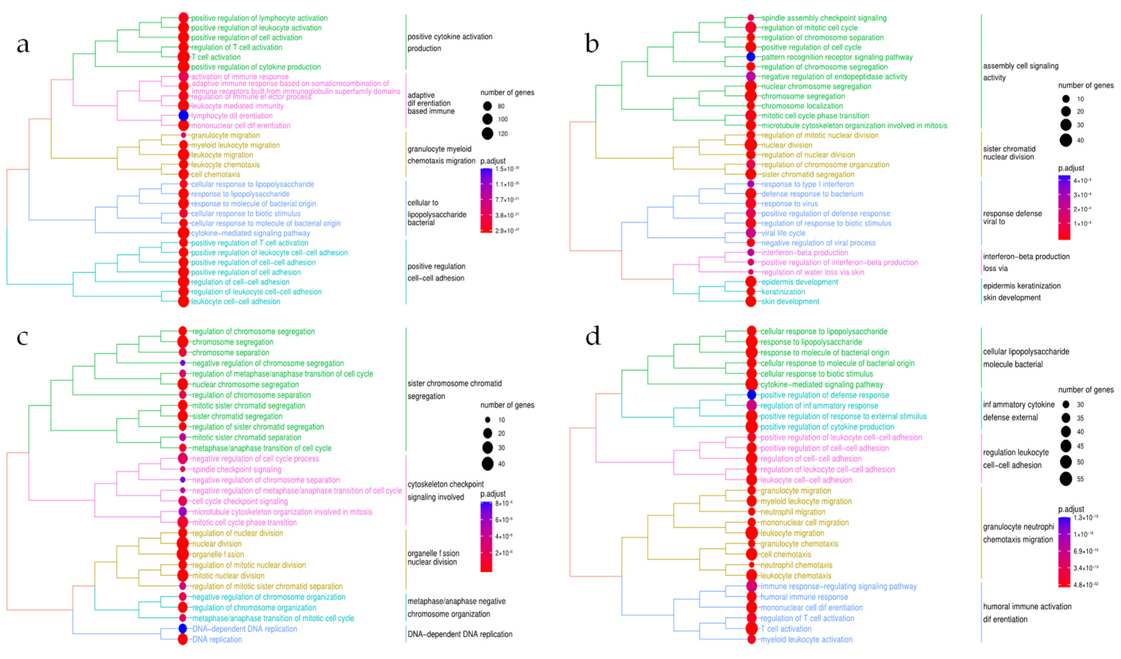 Genes 13 00776 g003 550