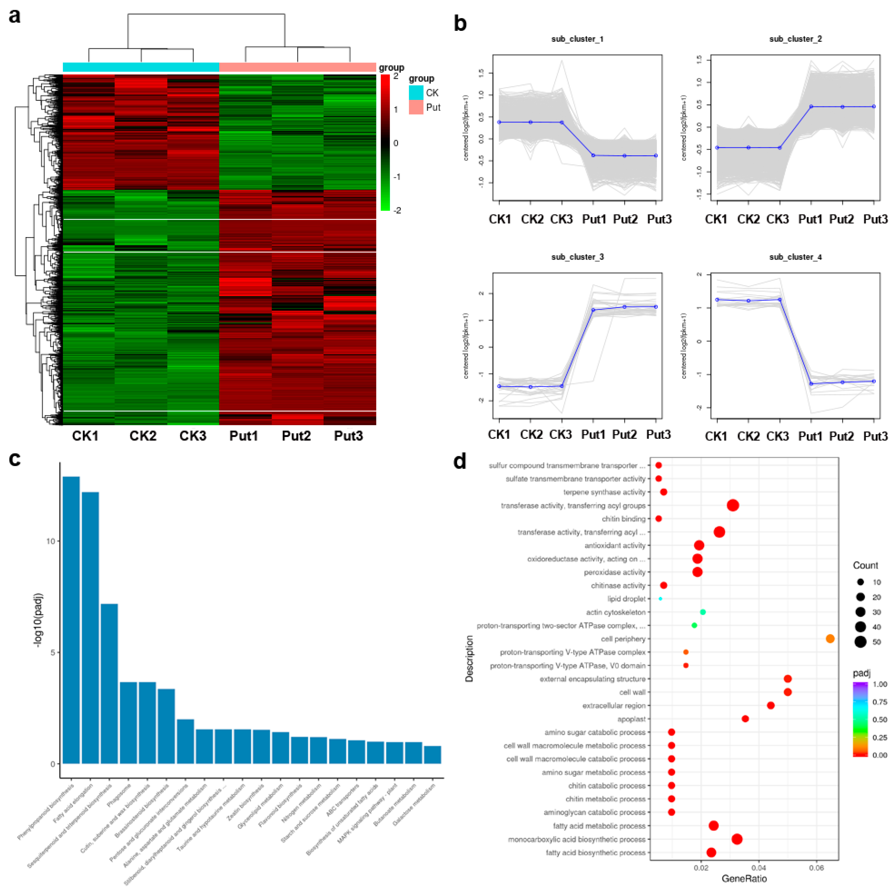 Genes 13 00784 g003 550