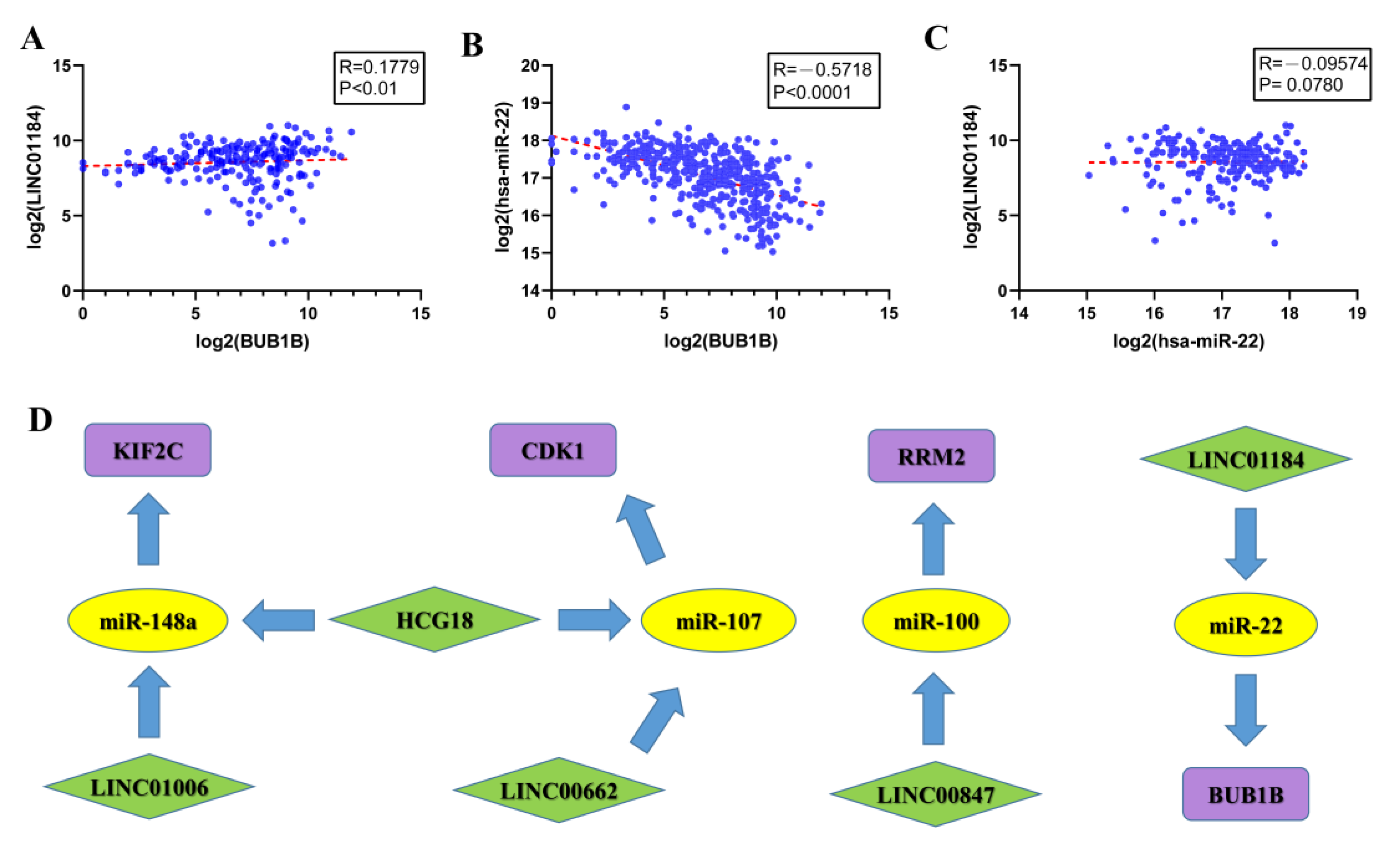 Genes 13 00785 g008