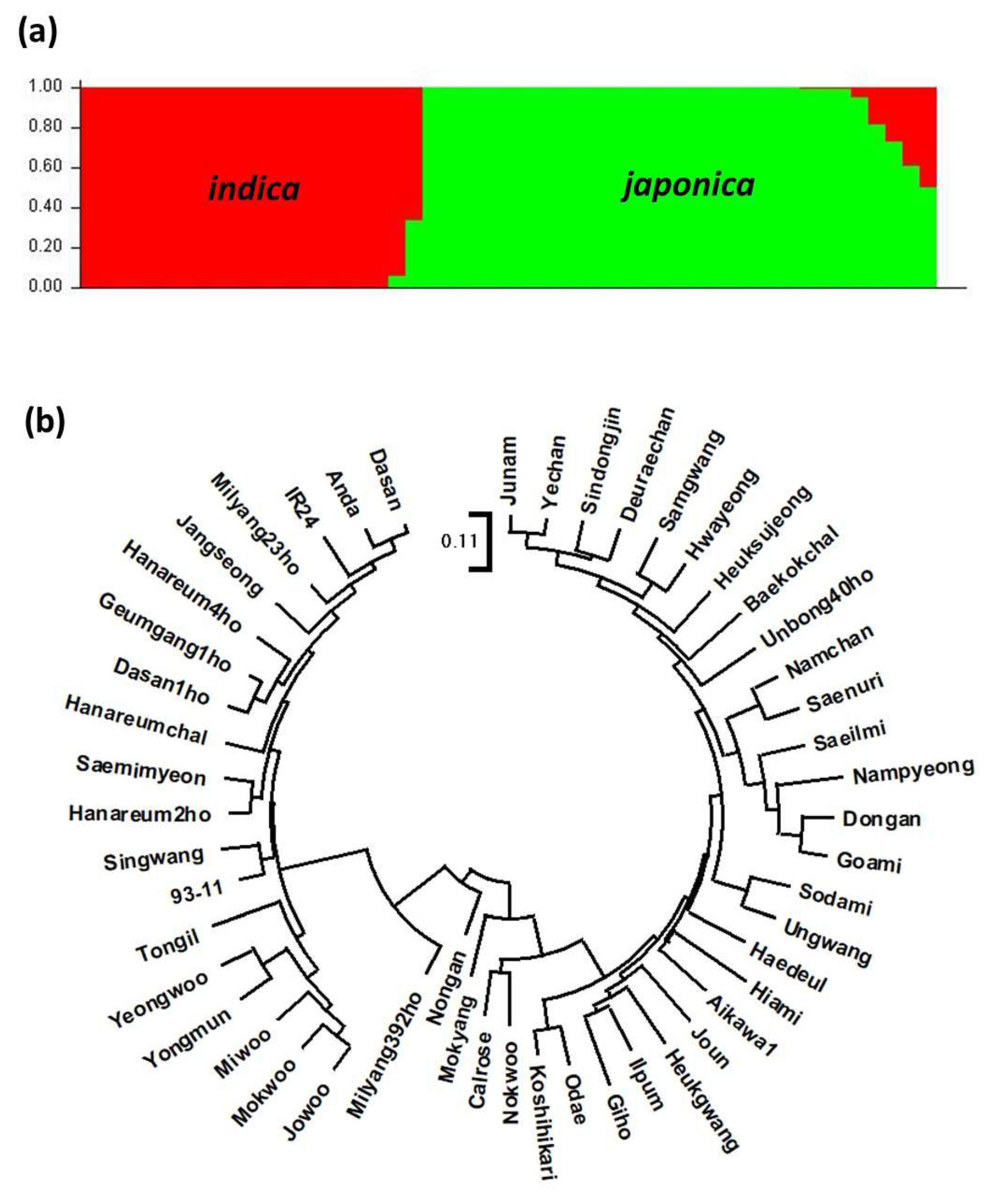 Genes 13 00794 g003