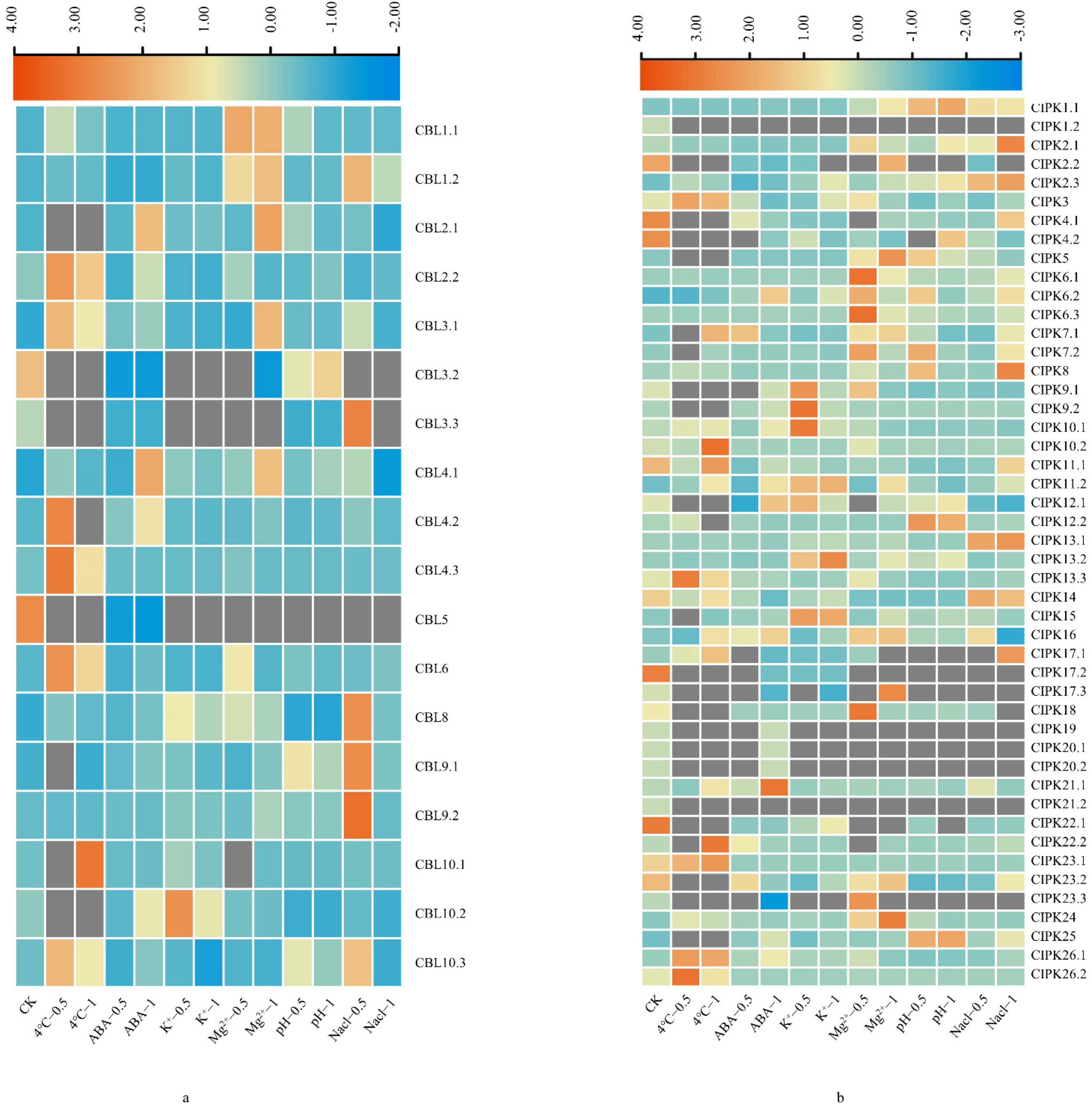 Gene 北京 3.11 Functional variant rs9344 at 11q13.3 regulates CCND1