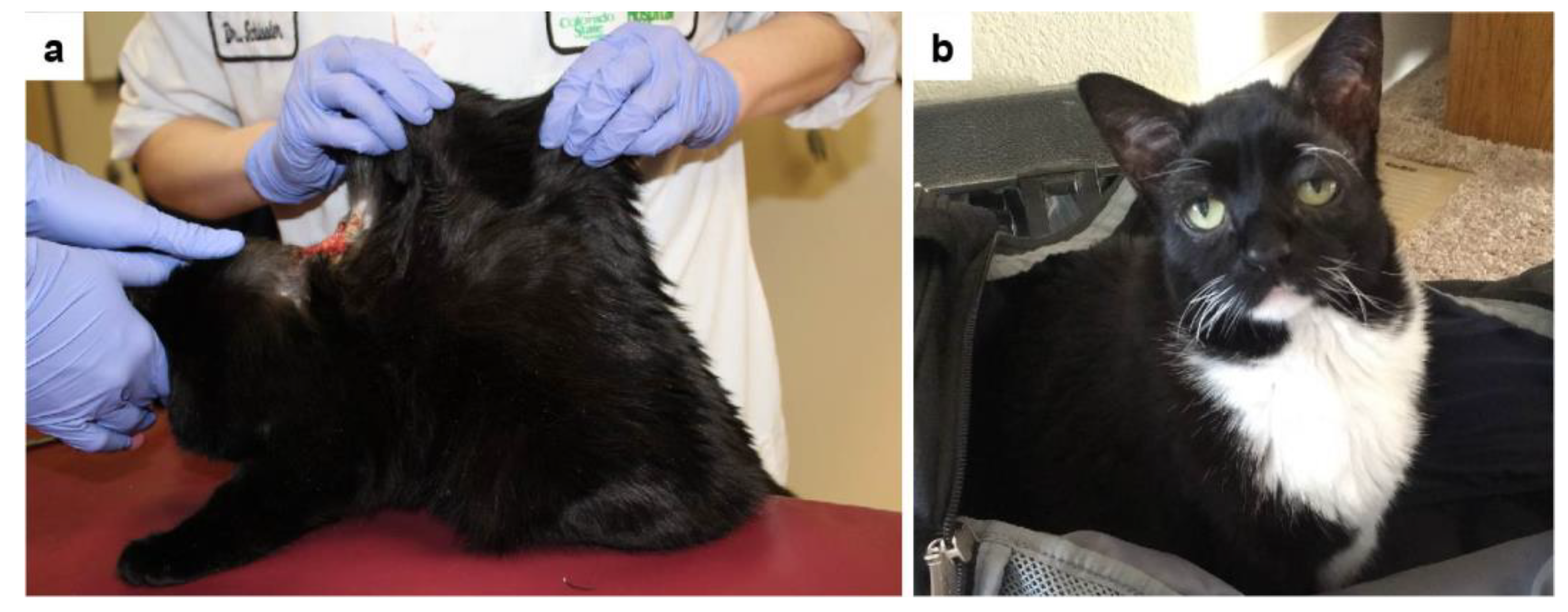 Genes 13 00797 g002 Genes 13 00797 g002