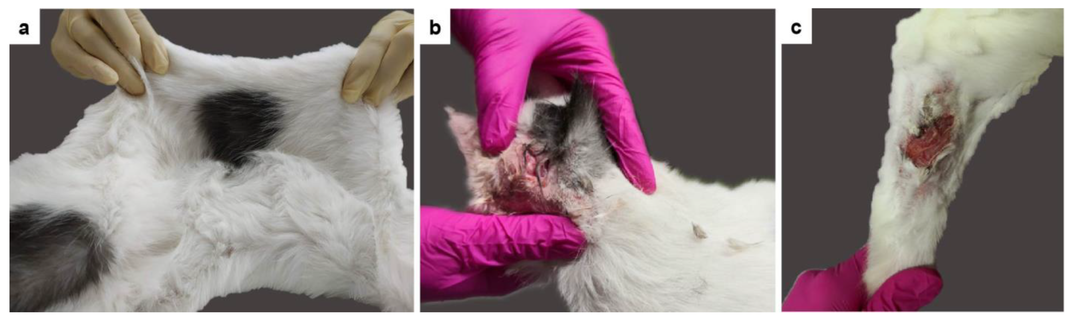 Genes 13 00797 g003 Genes 13 00797 g003