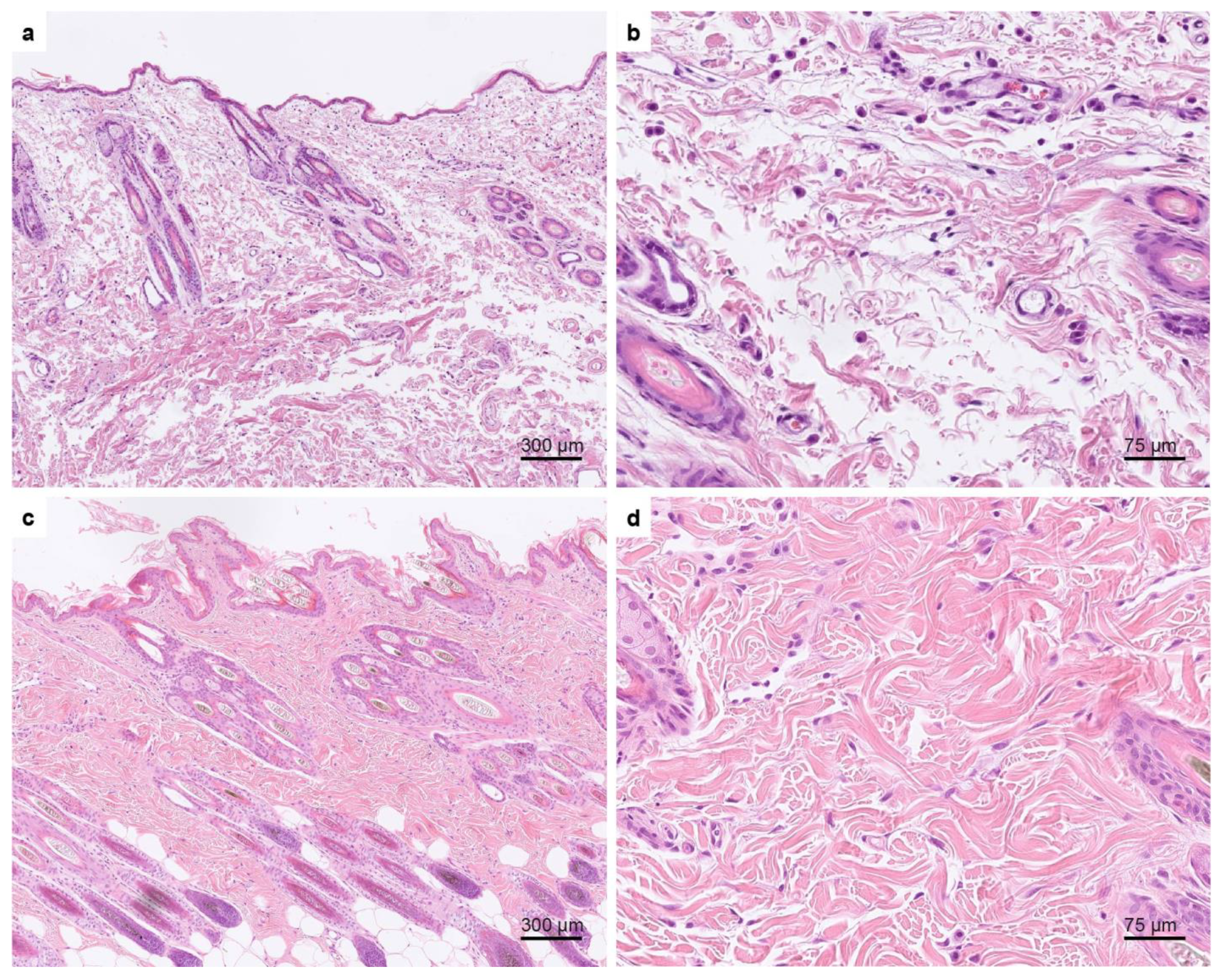 Genes 13 00797 g004 Genes 13 00797 g004