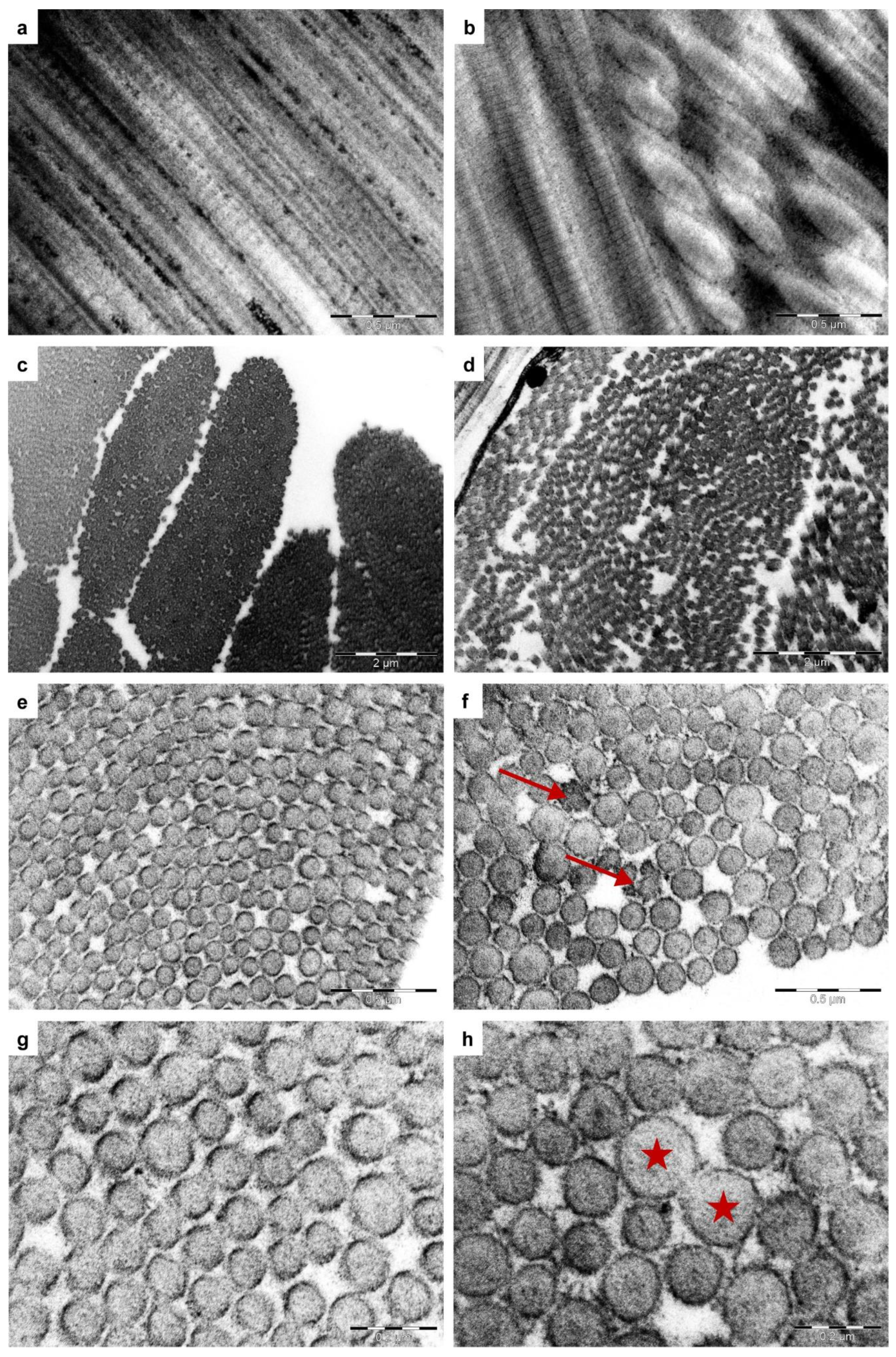 Genes 13 00797 g005 Genes 13 00797 g005