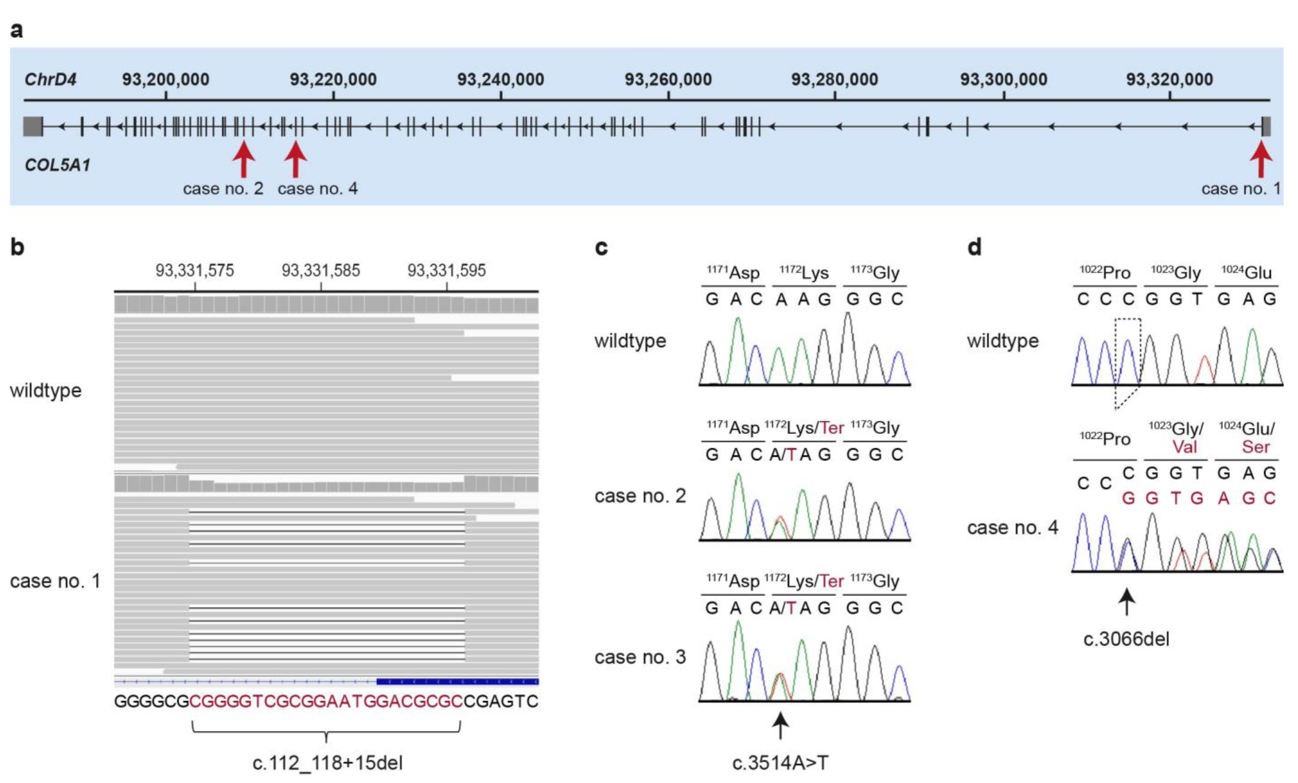 Genes 13 00797 g006 Genes 13 00797 g006
