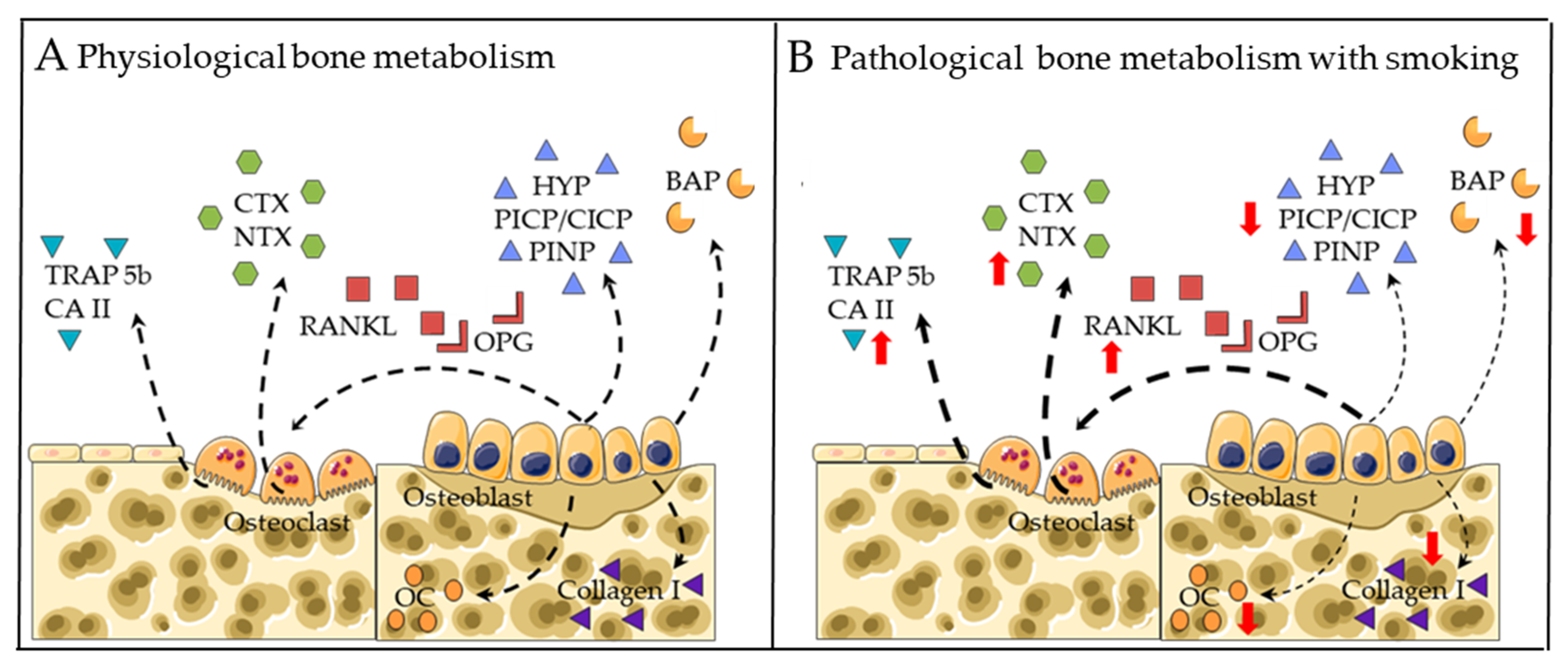 Genes 13 00806 g001 Genes 13 00806 g001