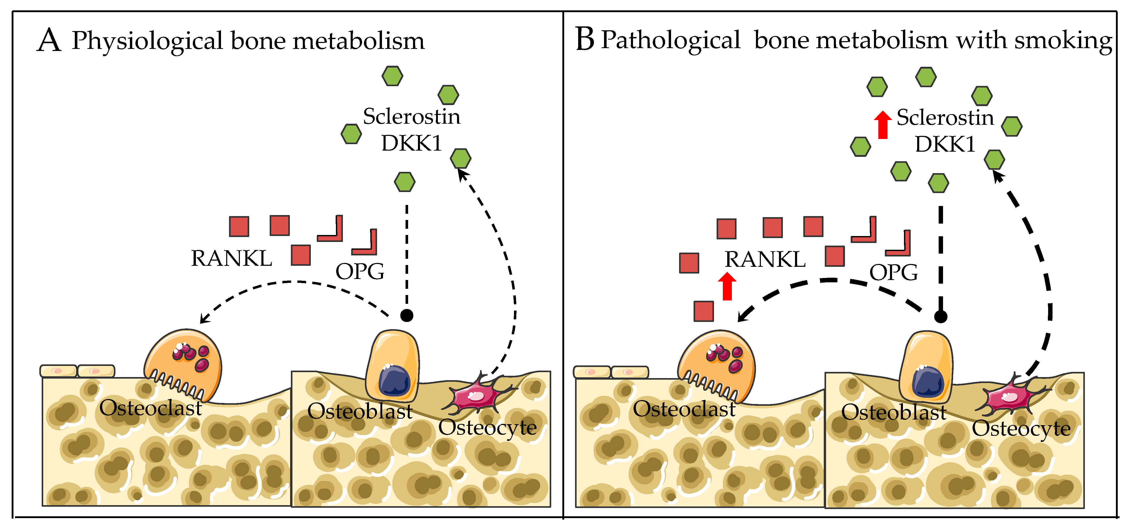Genes 13 00806 g002 Genes 13 00806 g002