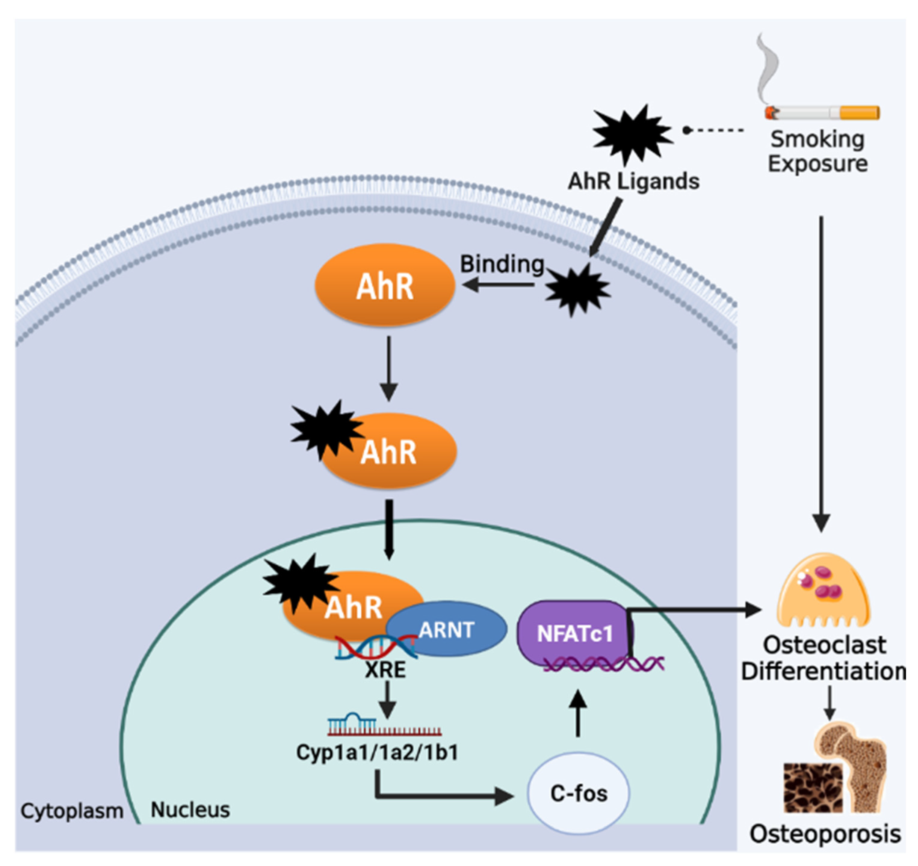 Genes 13 00806 g003 Genes 13 00806 g003