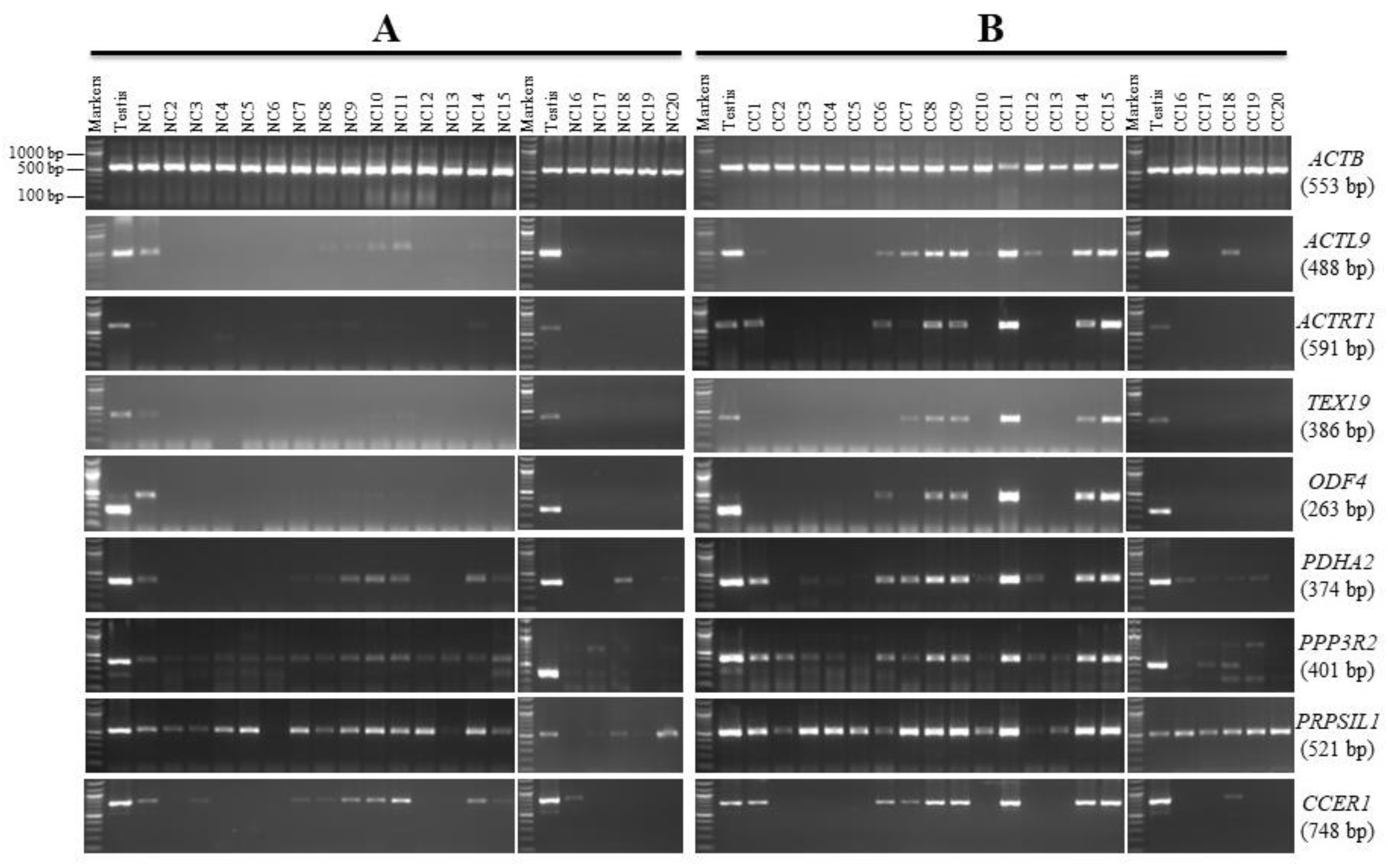 Genes 13 00807 g001 Genes 13 00807 g001