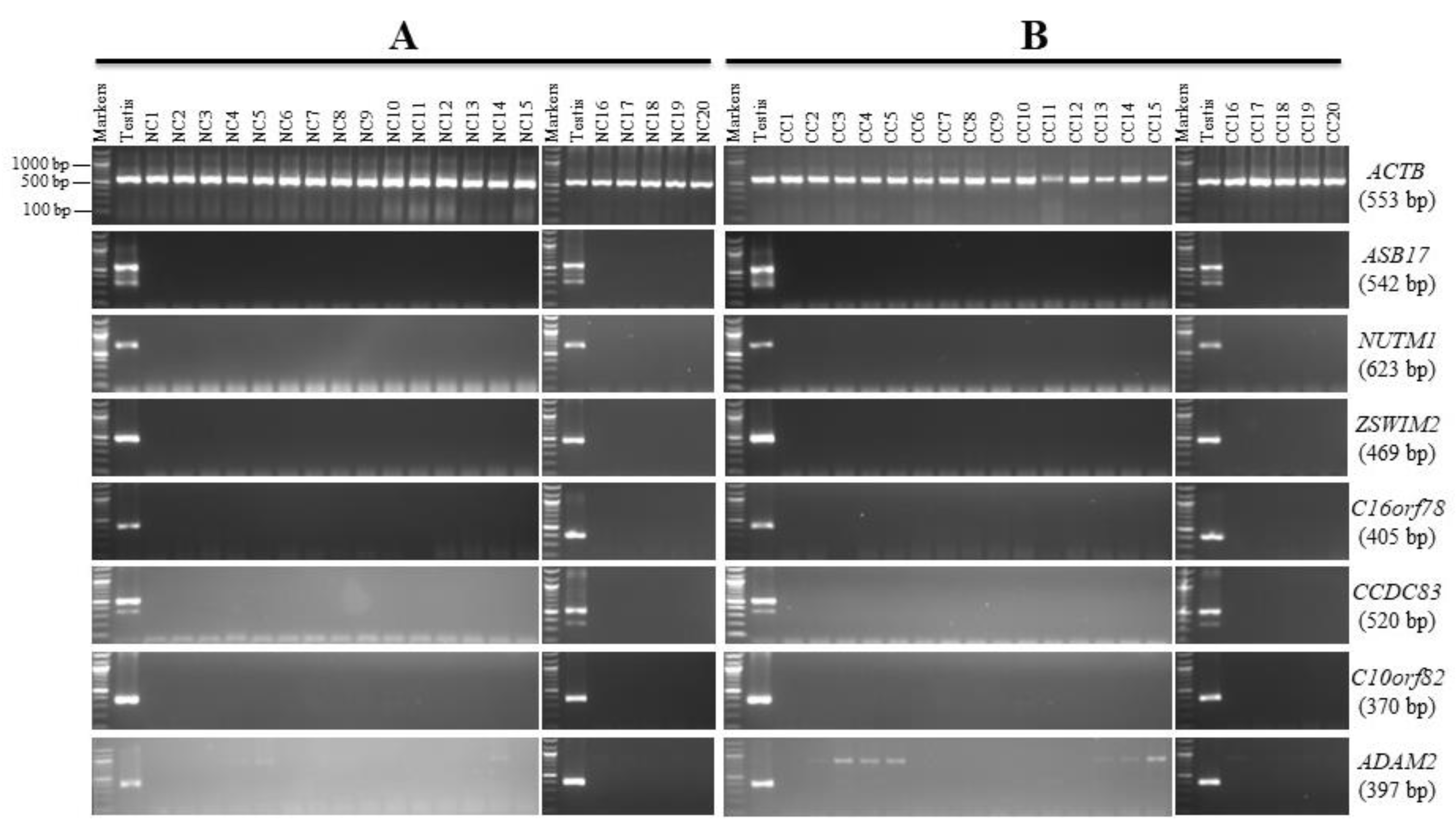 Genes 13 00807 g002 Genes 13 00807 g002