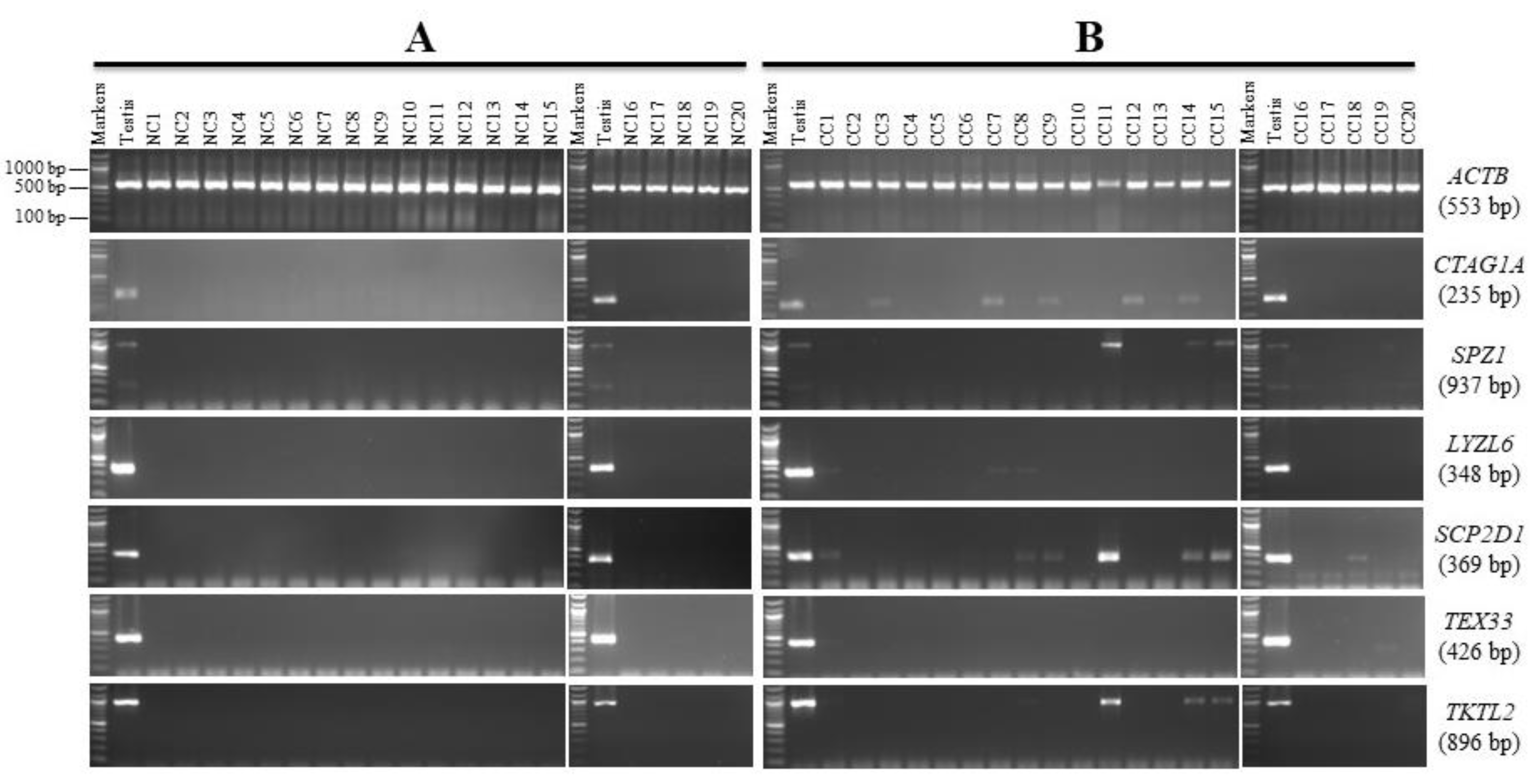 Genes 13 00807 g003 Genes 13 00807 g003