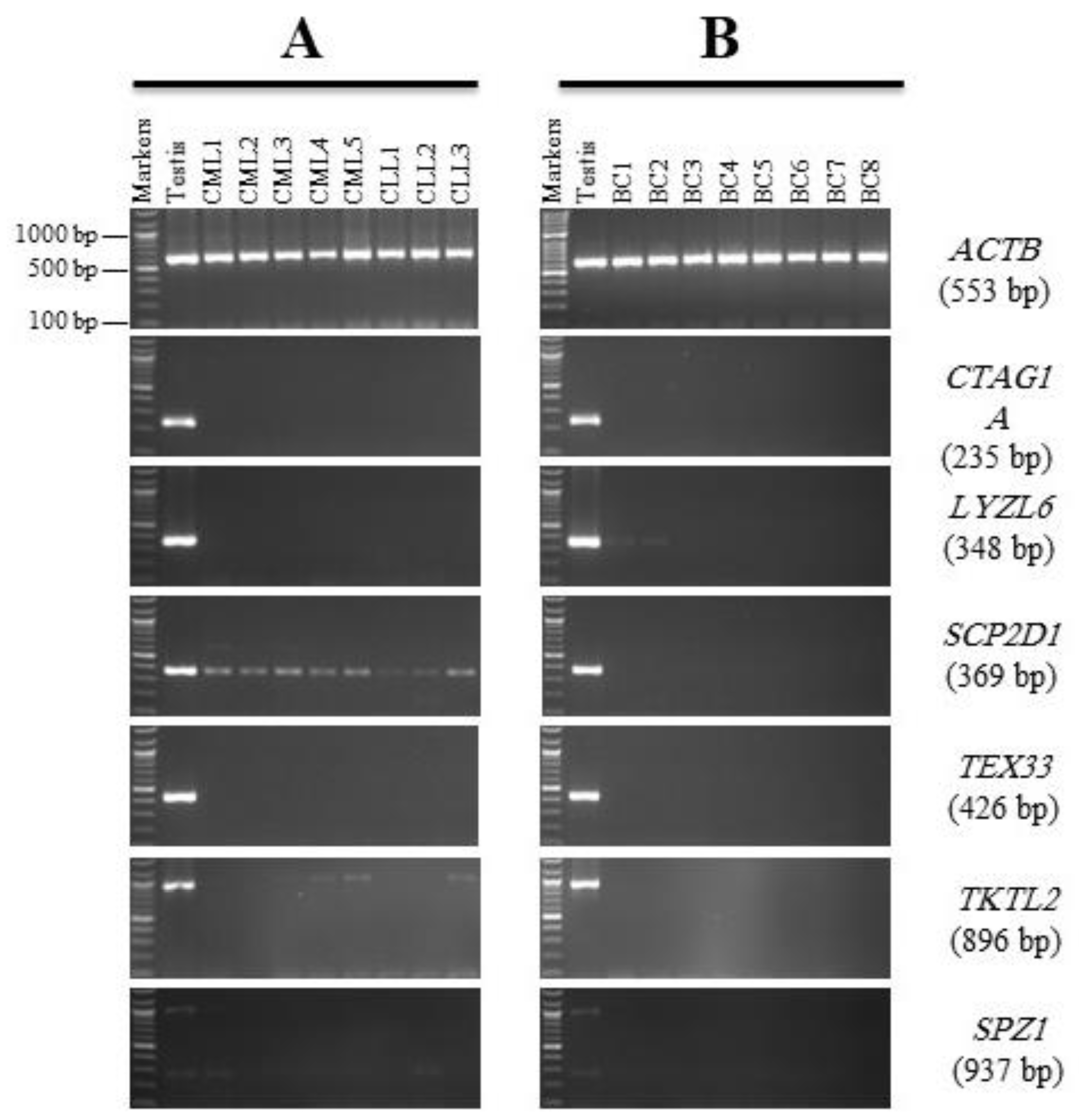 Genes 13 00807 g004 Genes 13 00807 g004