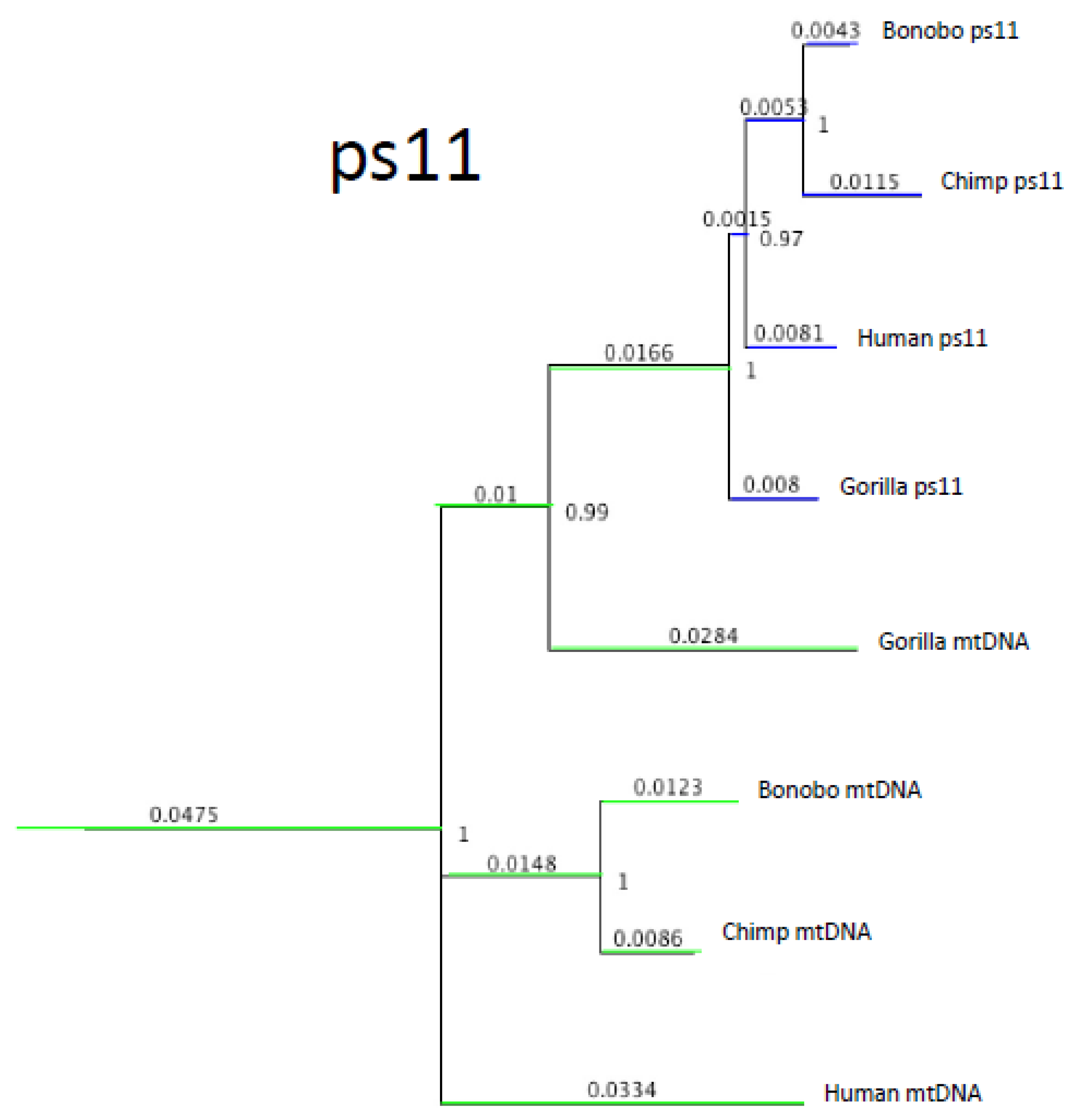 Genes 13 00810 g003 550